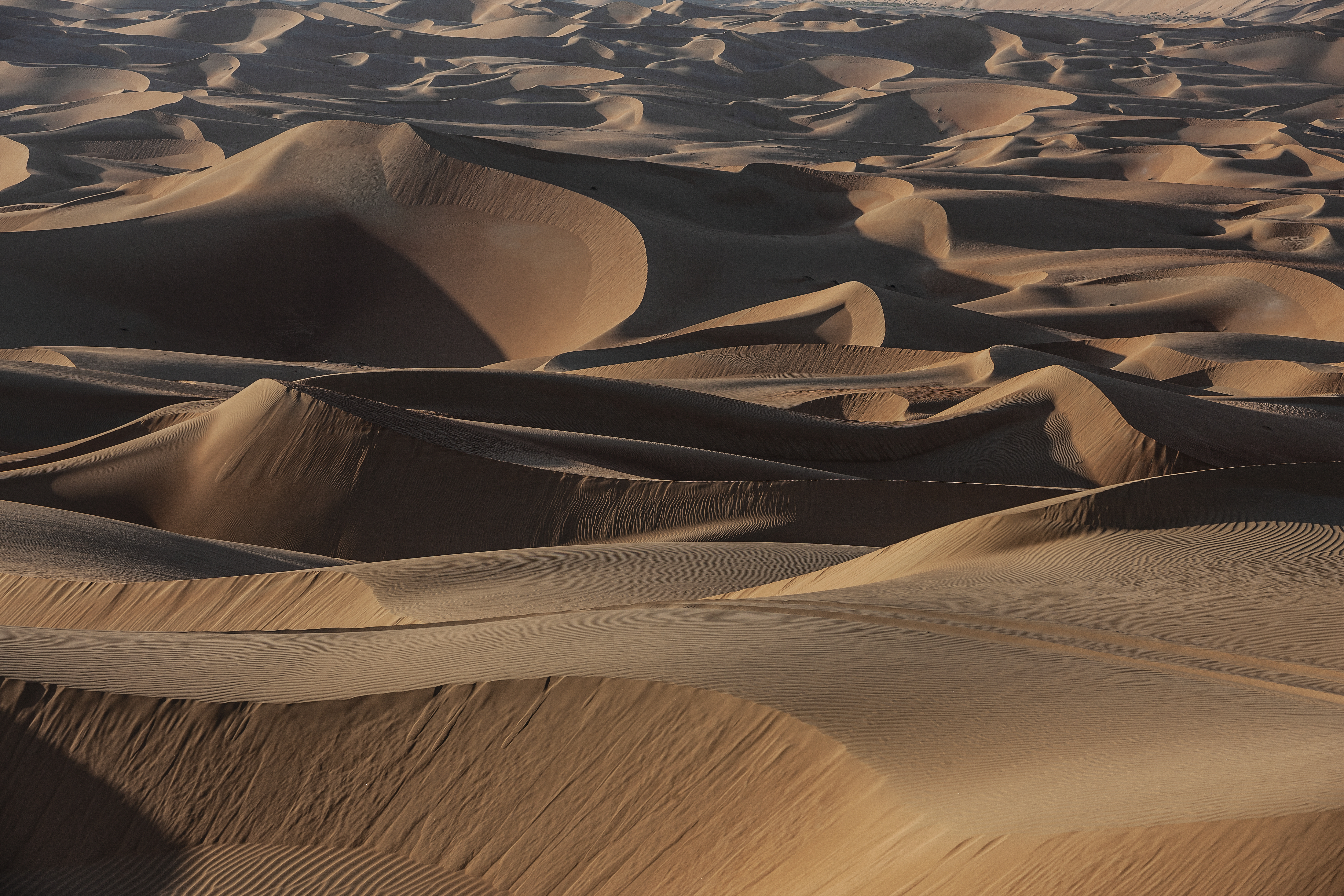 الكثبان الرملية في صحراء إمارة أبوظبي