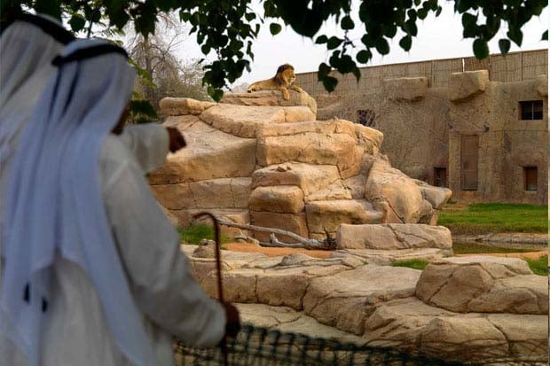 al ain zoo