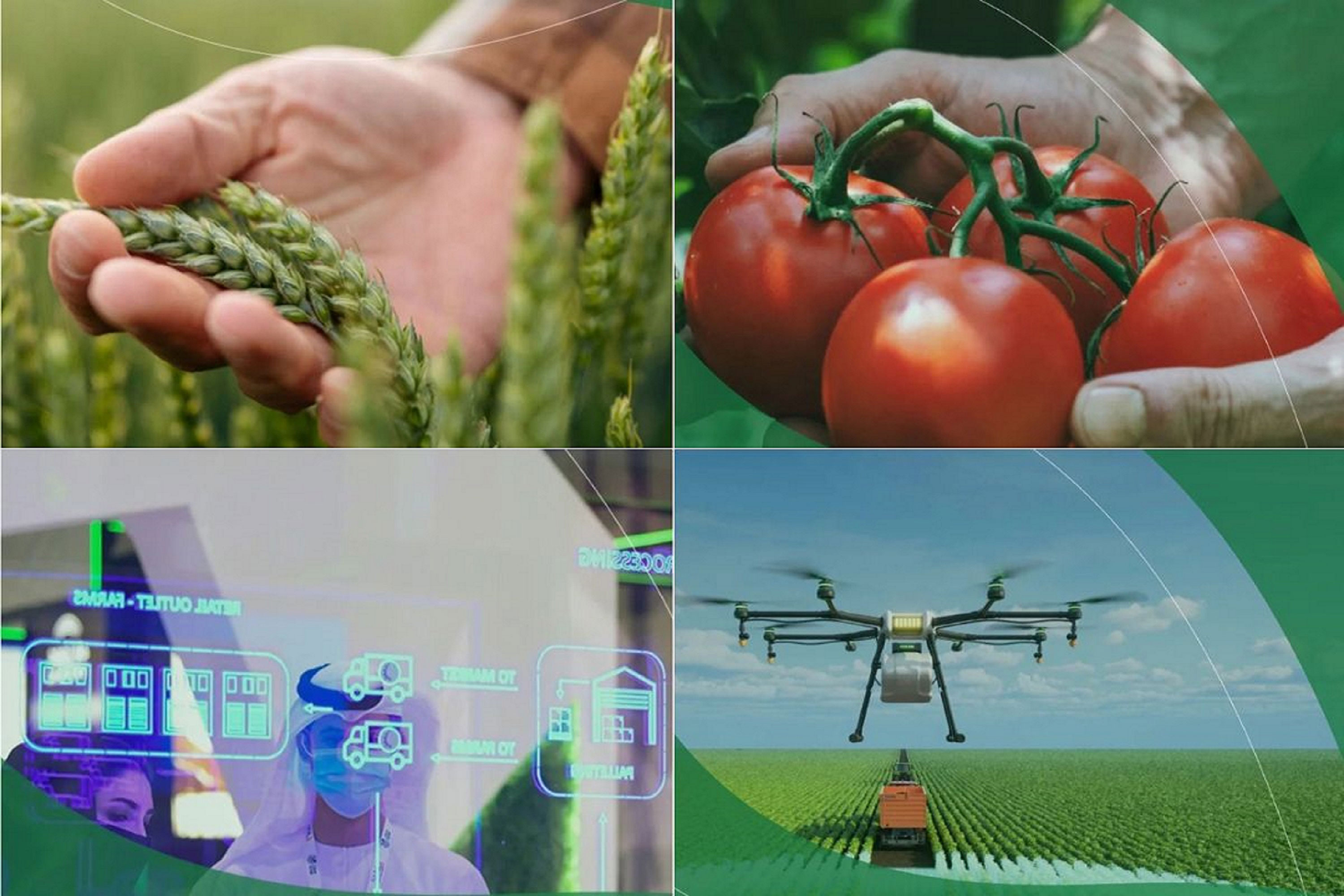 global food week