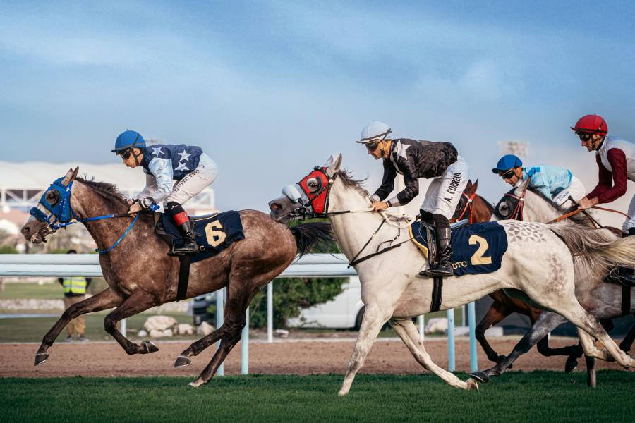 the abu dhabi gold cup