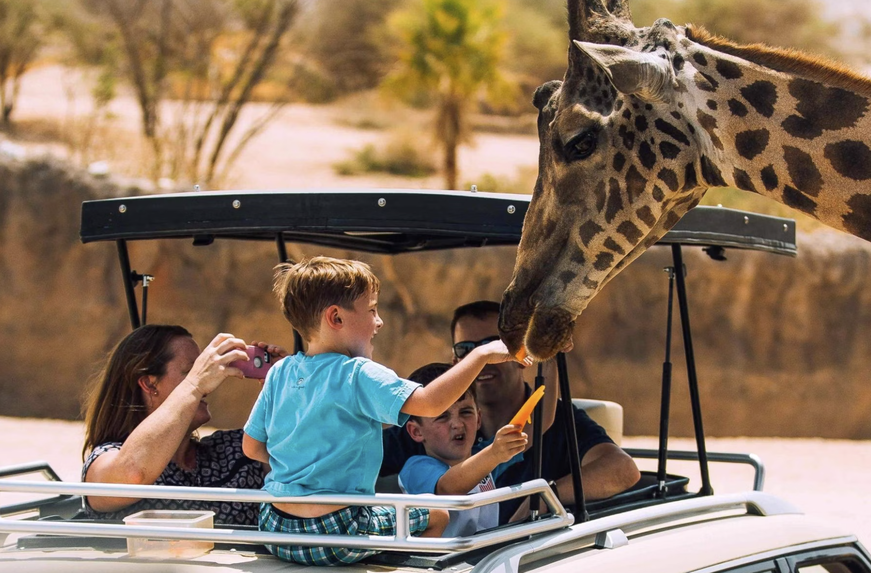 eid al fitr celebrations at al ain zoo
