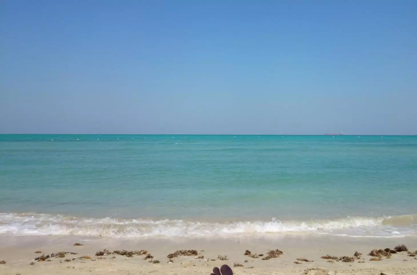 image alt text