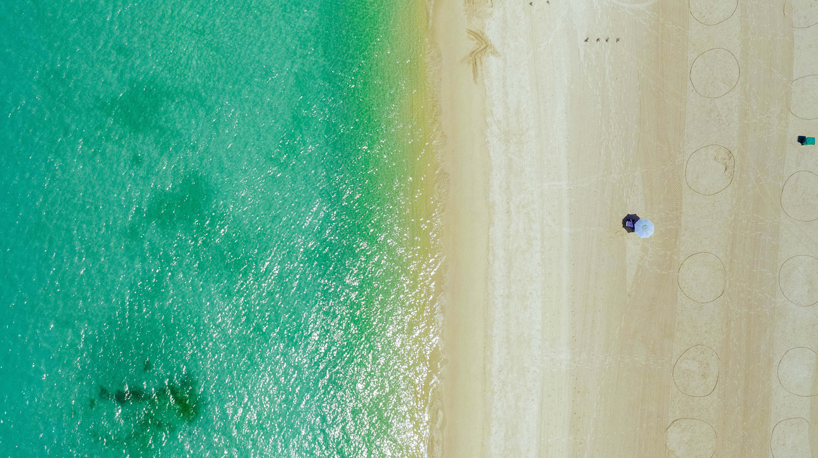 Best beaches in Abu Dhabi