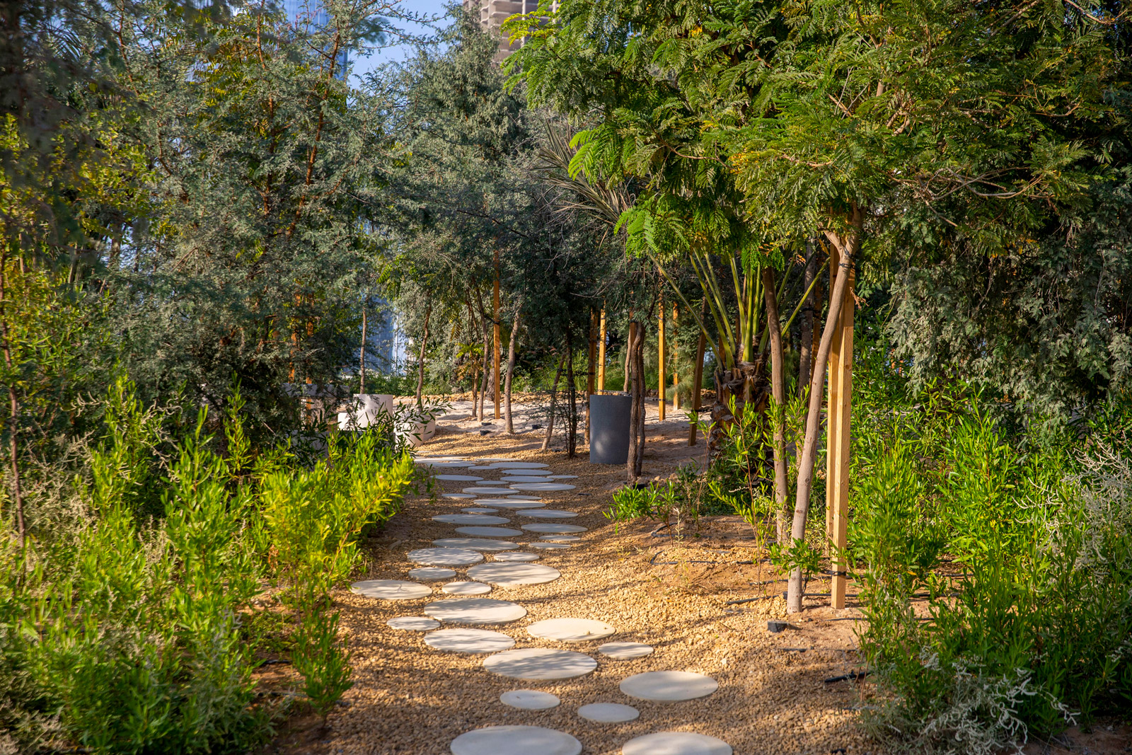 Things to do for free in Abu Dhabi