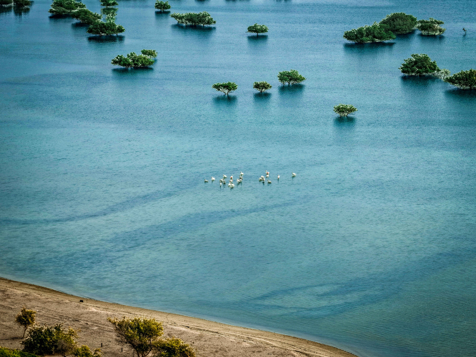 image alt text