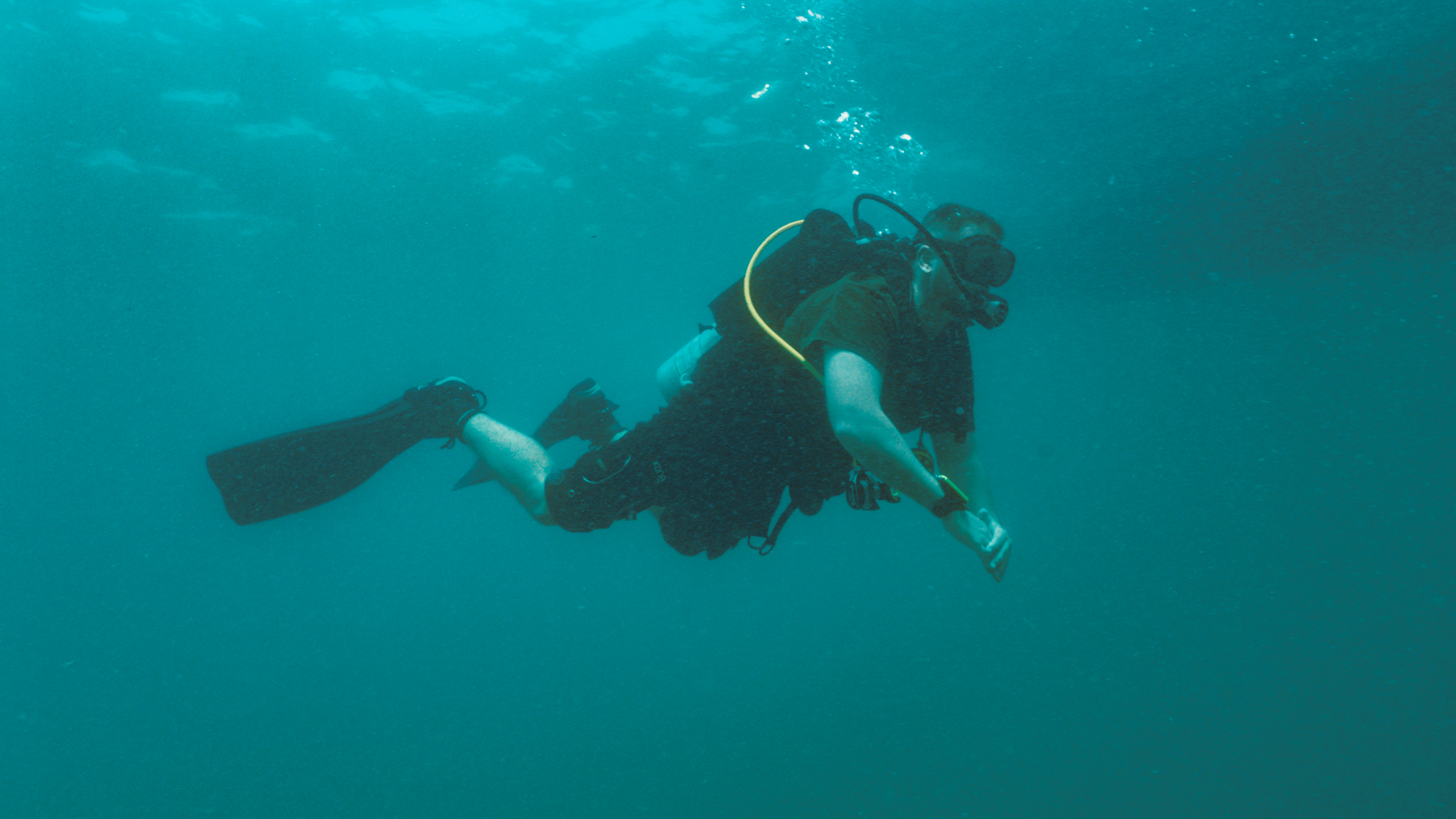 image alt text