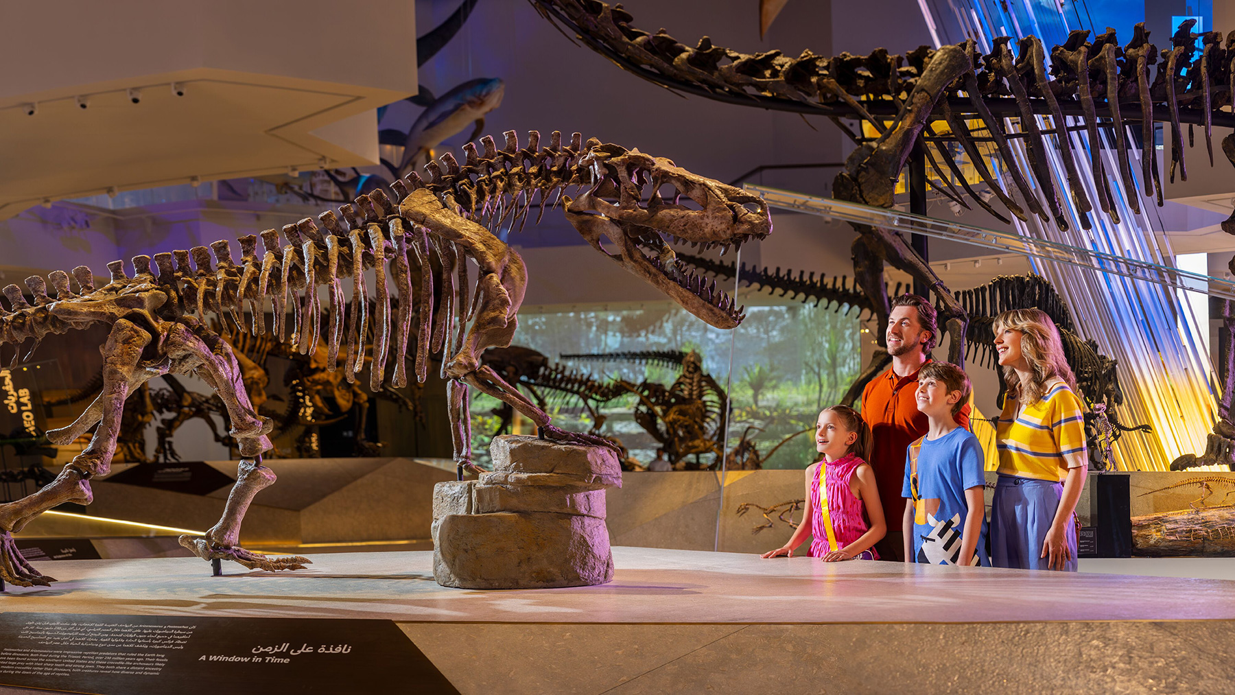 A kids passport to Abu Dhabi