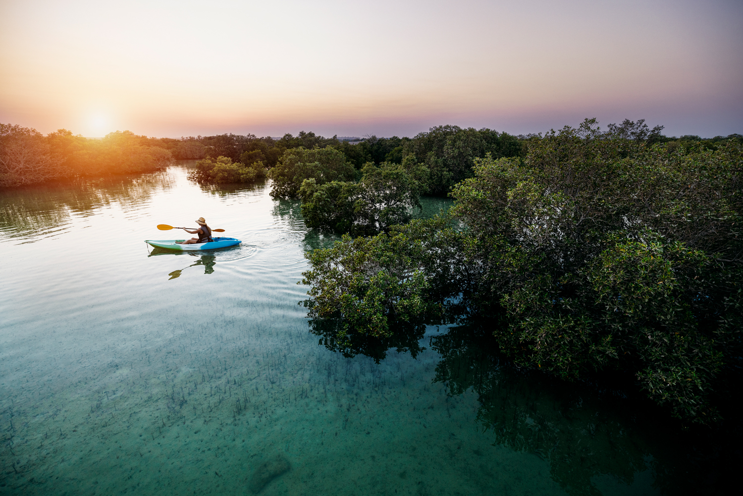 Kayak through nature's wonders