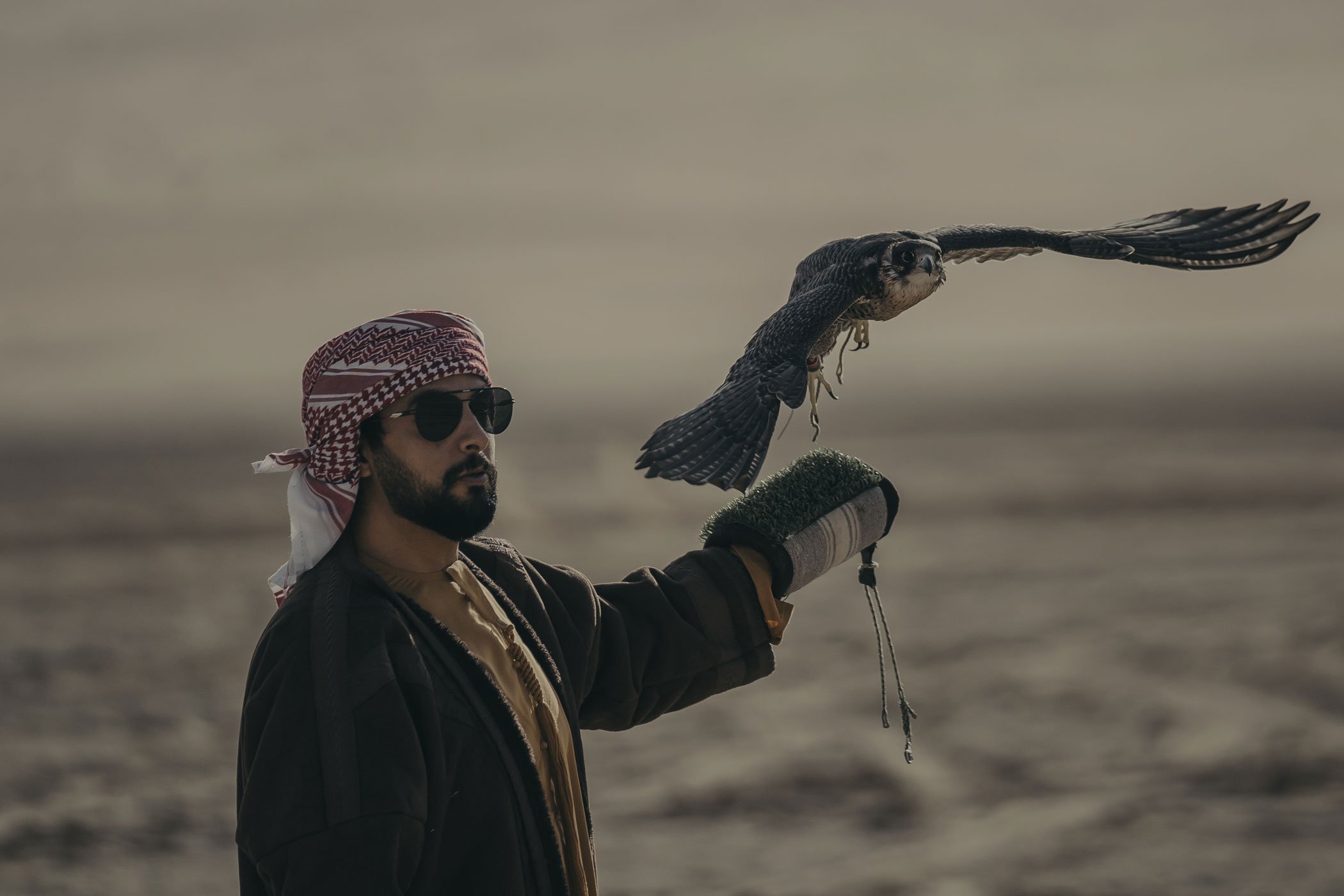 What is Liwa International Festival?