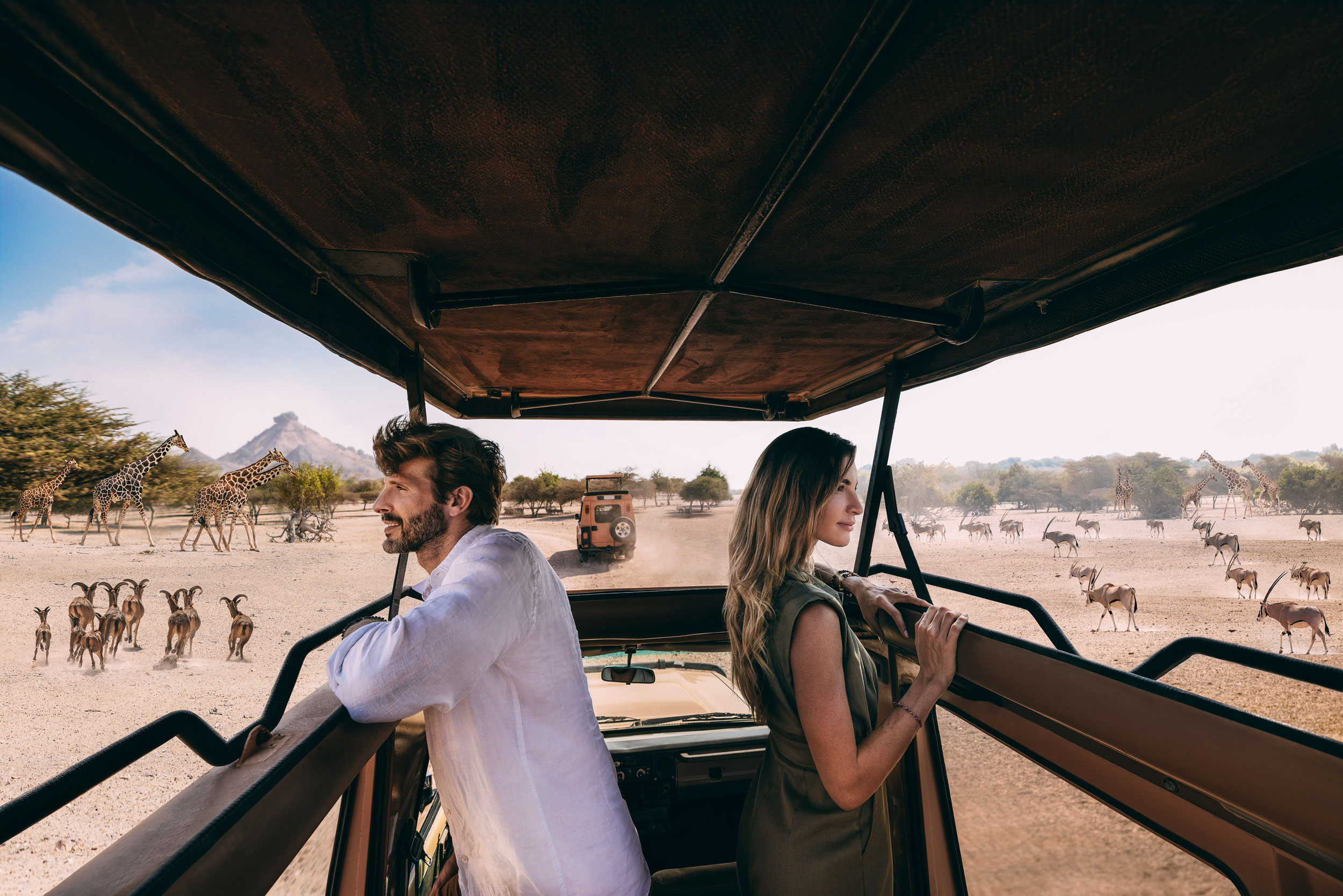 Couple on a safari jeep observing giraffes and antelopes in a desert reserve.