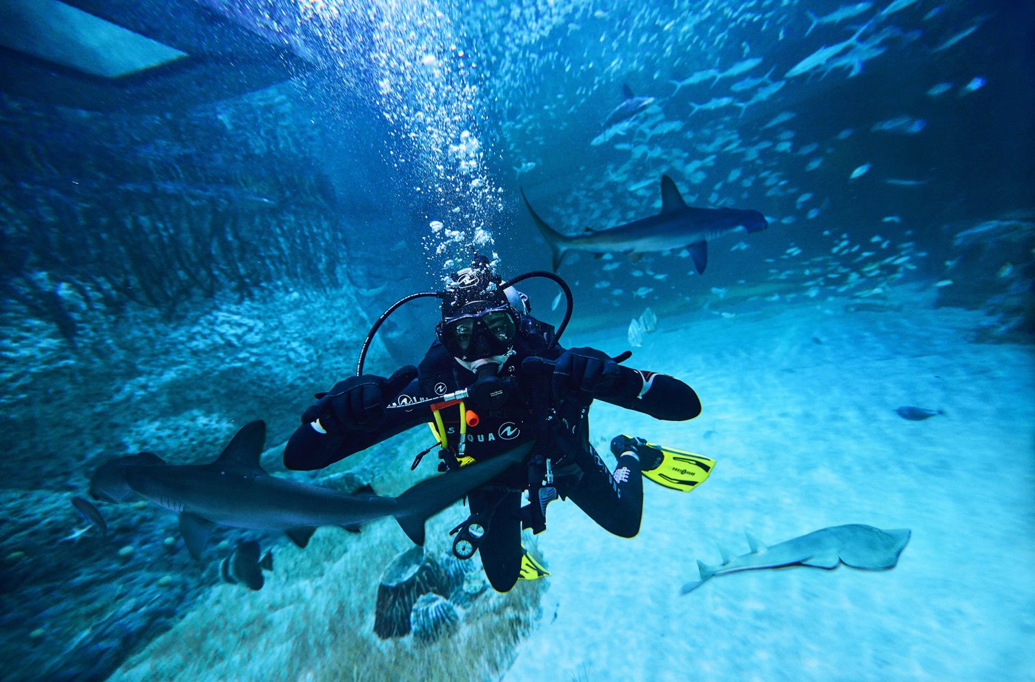 Must-do adventures