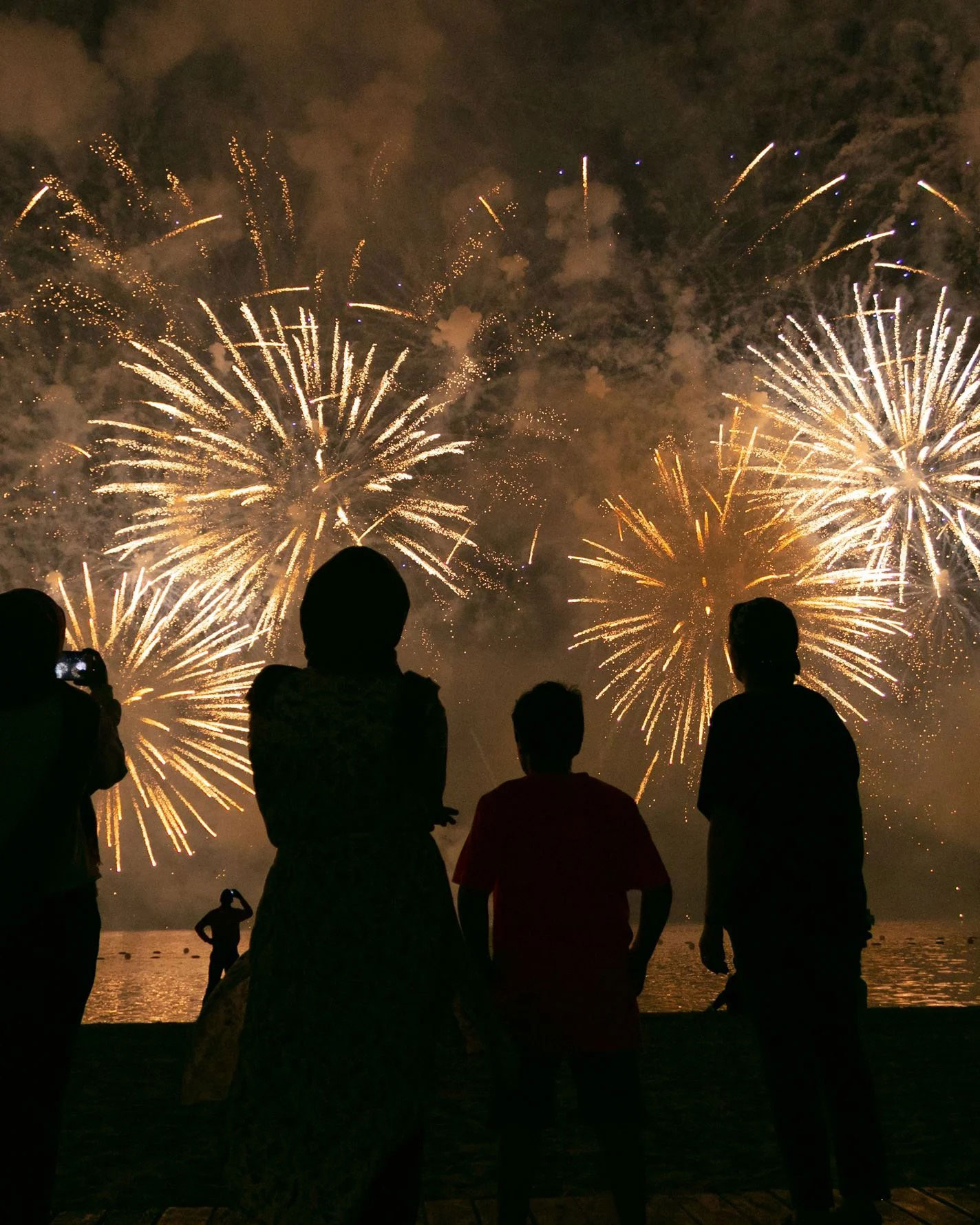 Espectáculo de fuegos artificiales de Nochevieja