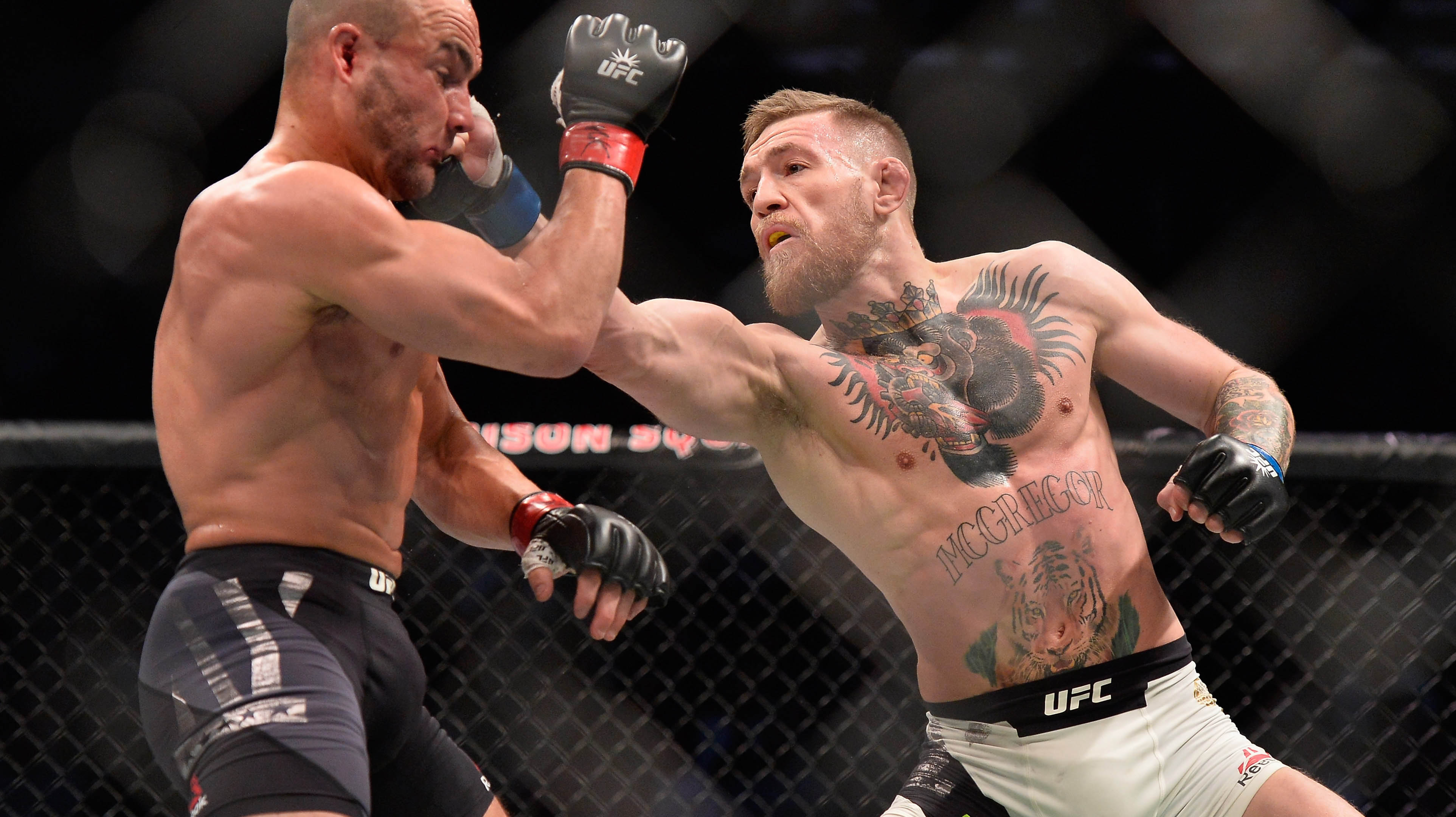 ufc fight island