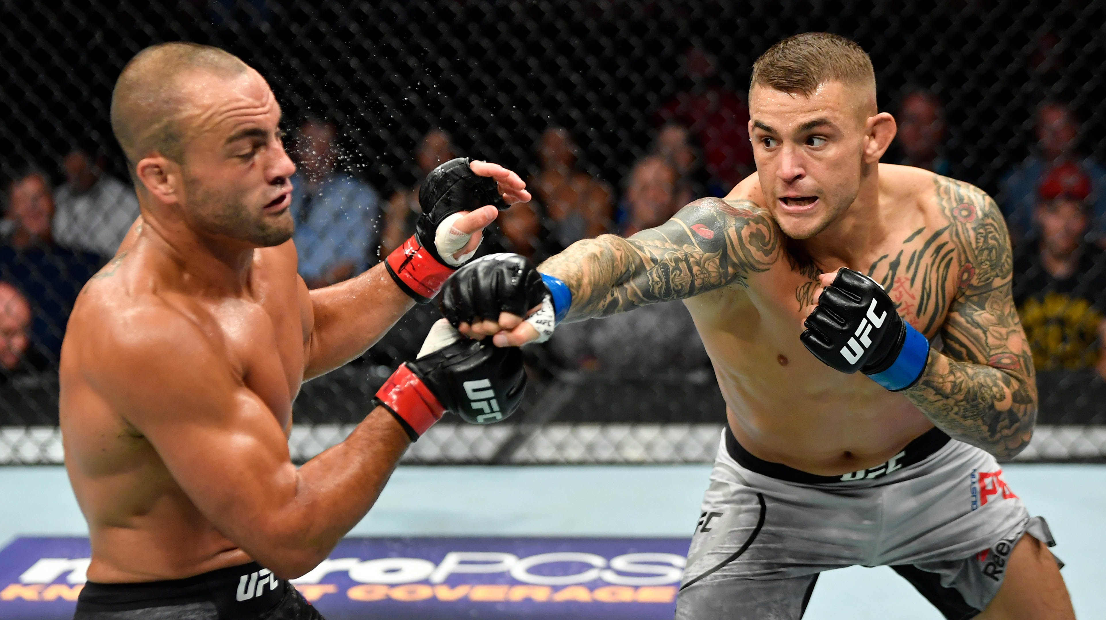 ufc fight island