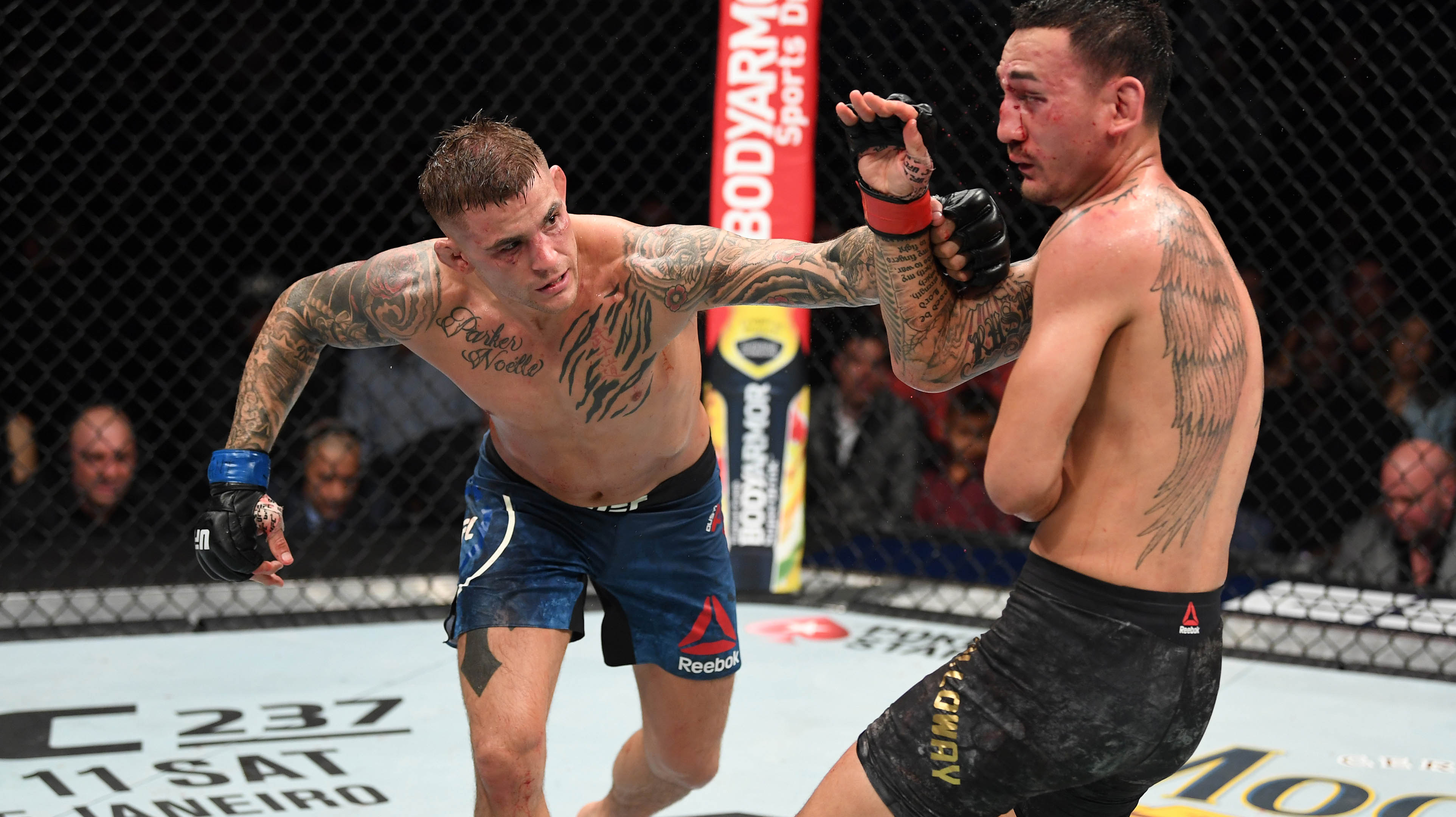 ufc fight island