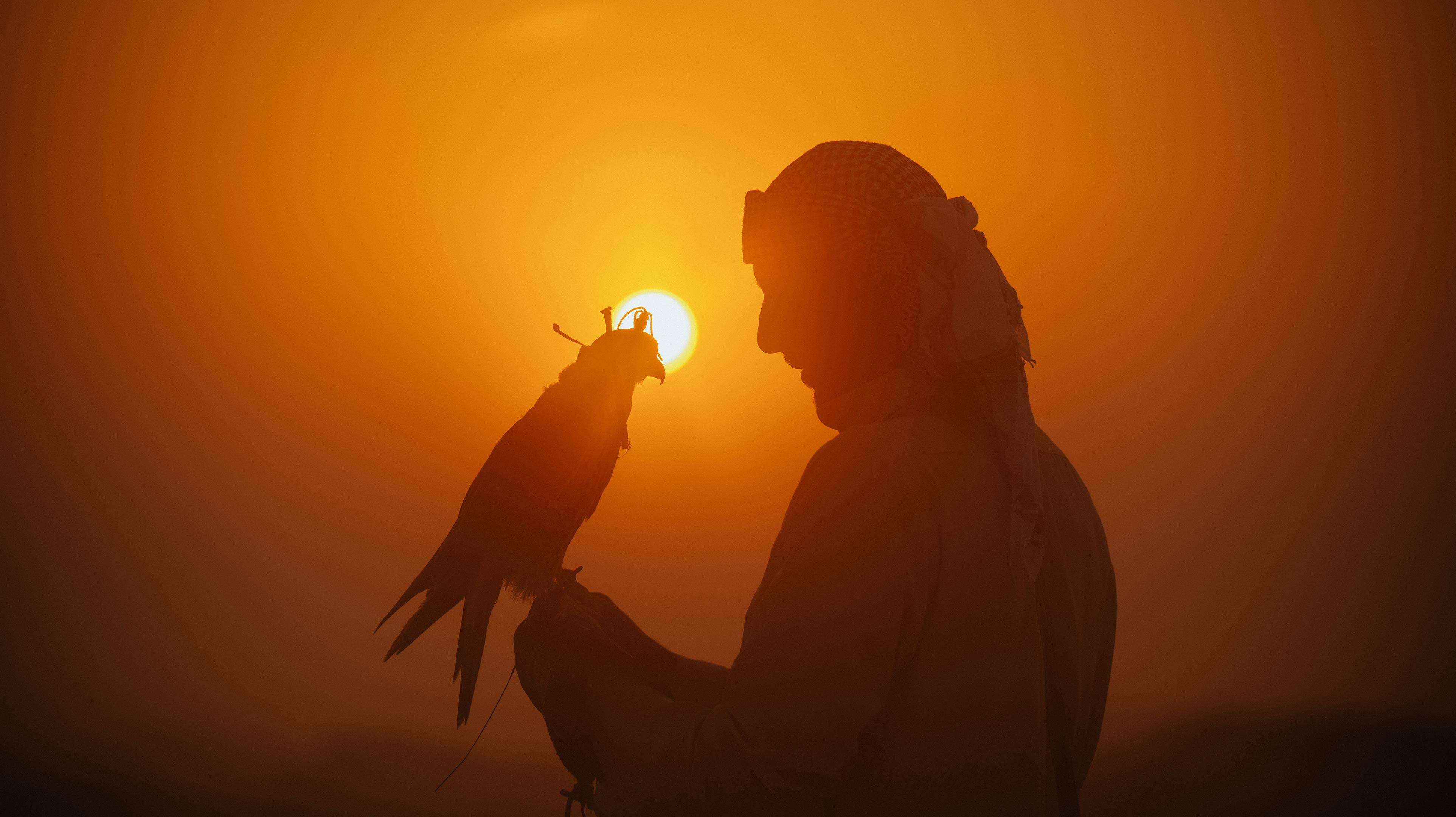 Emirati man holding falcon in the desert at sunset