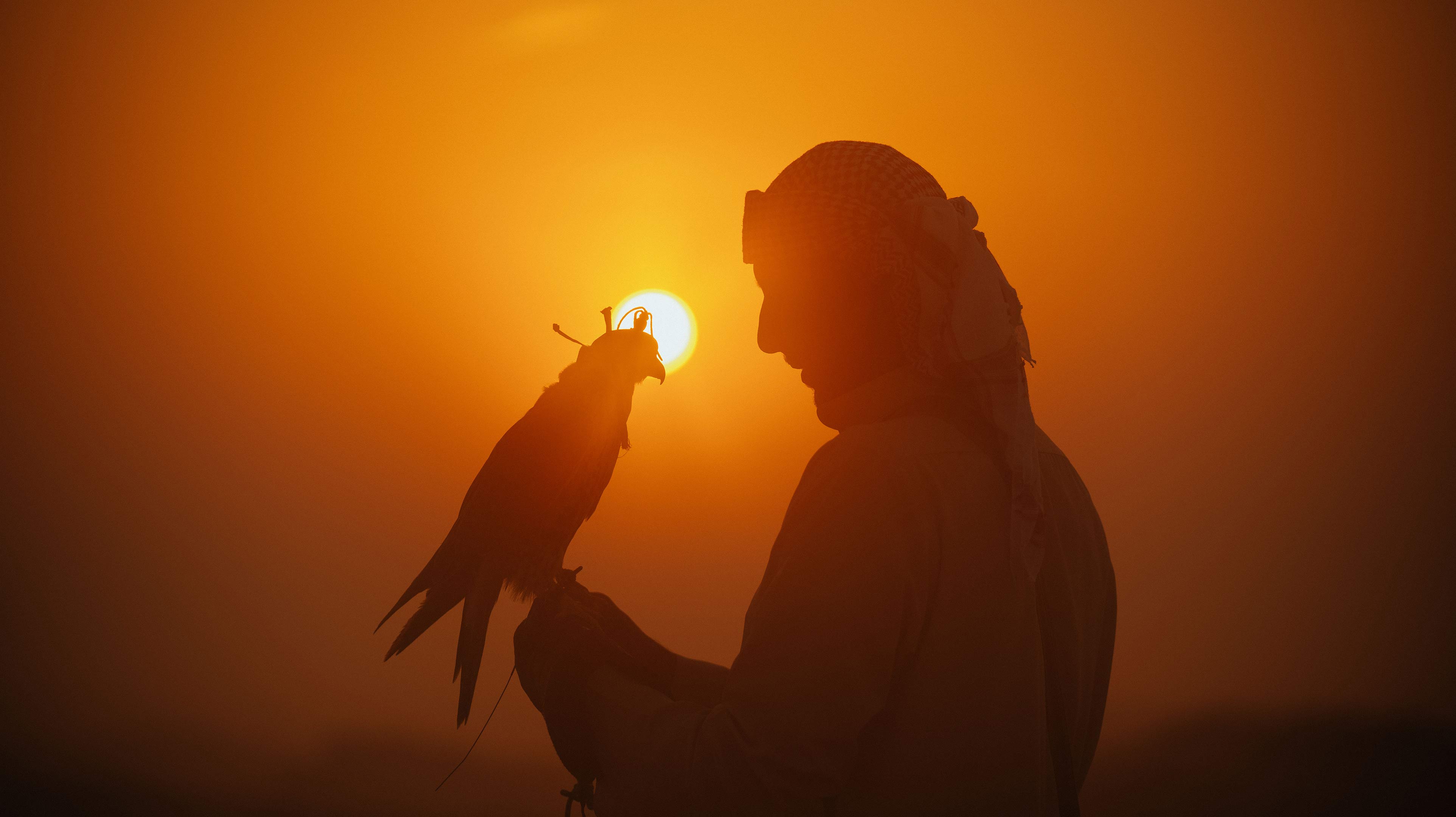Profilo di un uomo in abiti tradizionali che tiene un falco sul braccio contro un cielo al tramonto