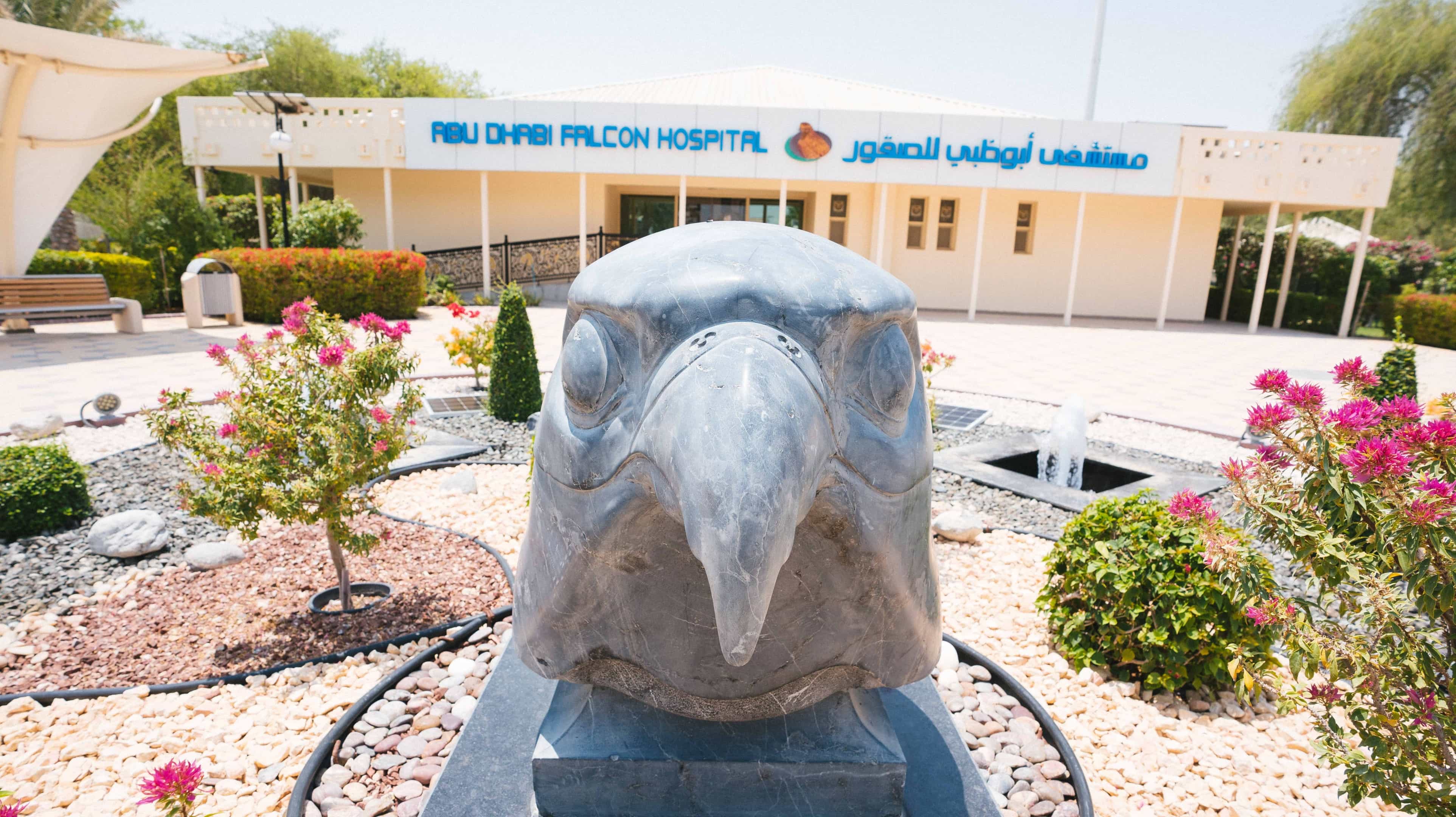בית החולים לבזים Abu Dhabi Falcon Hospital