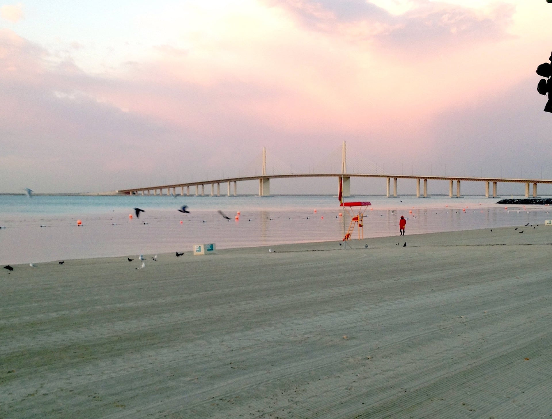 al-bateen-beach