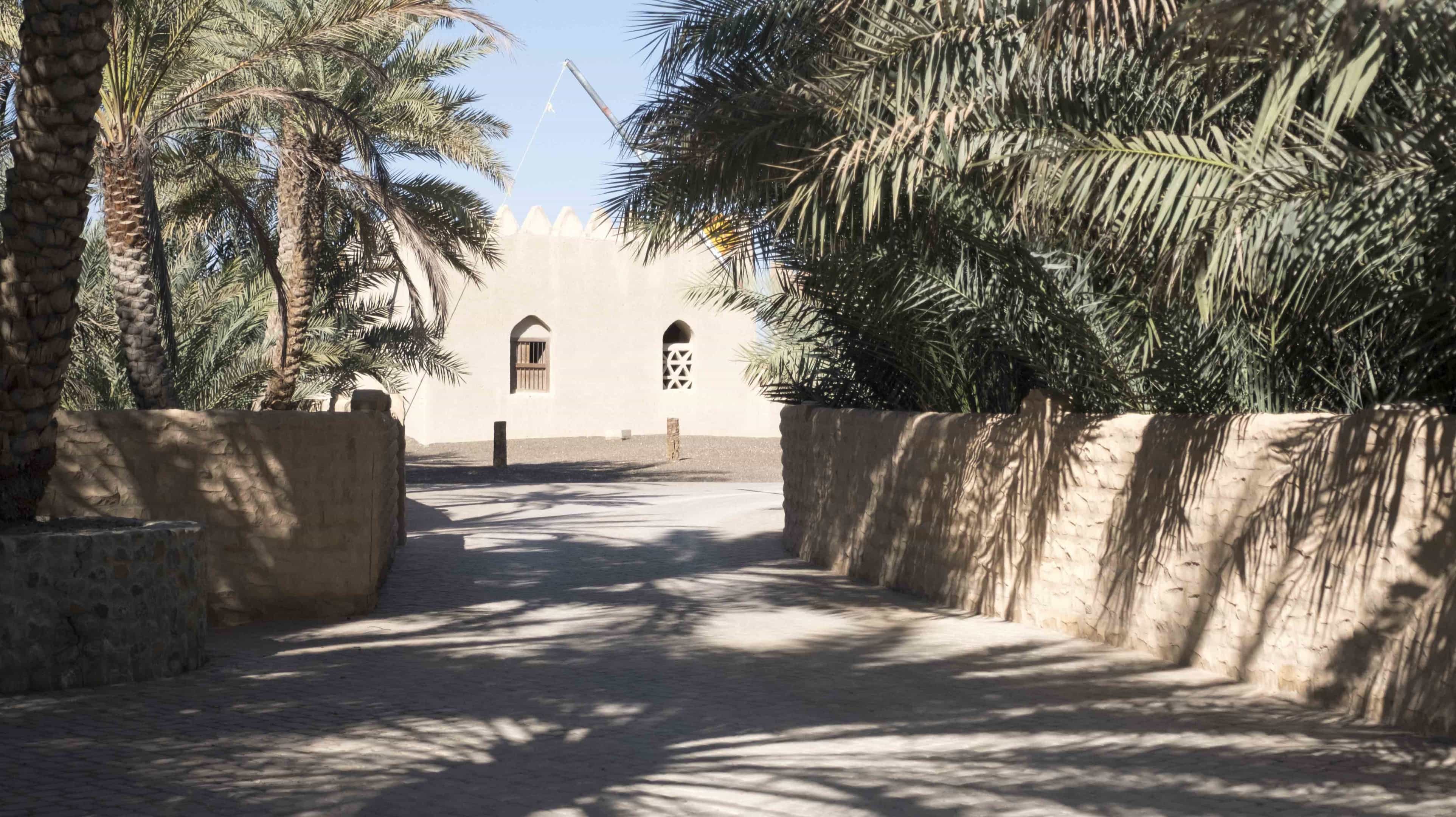 Cobblestone paths between palm fields in Al Qattara Oasis