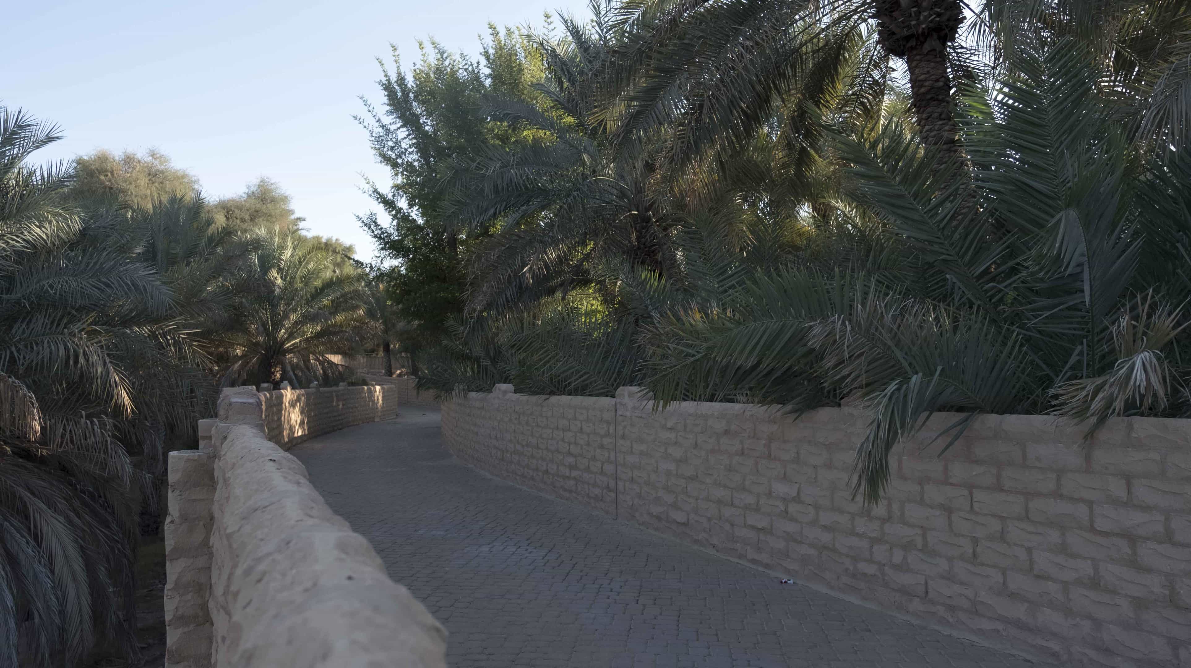 Oasis Al Qattara