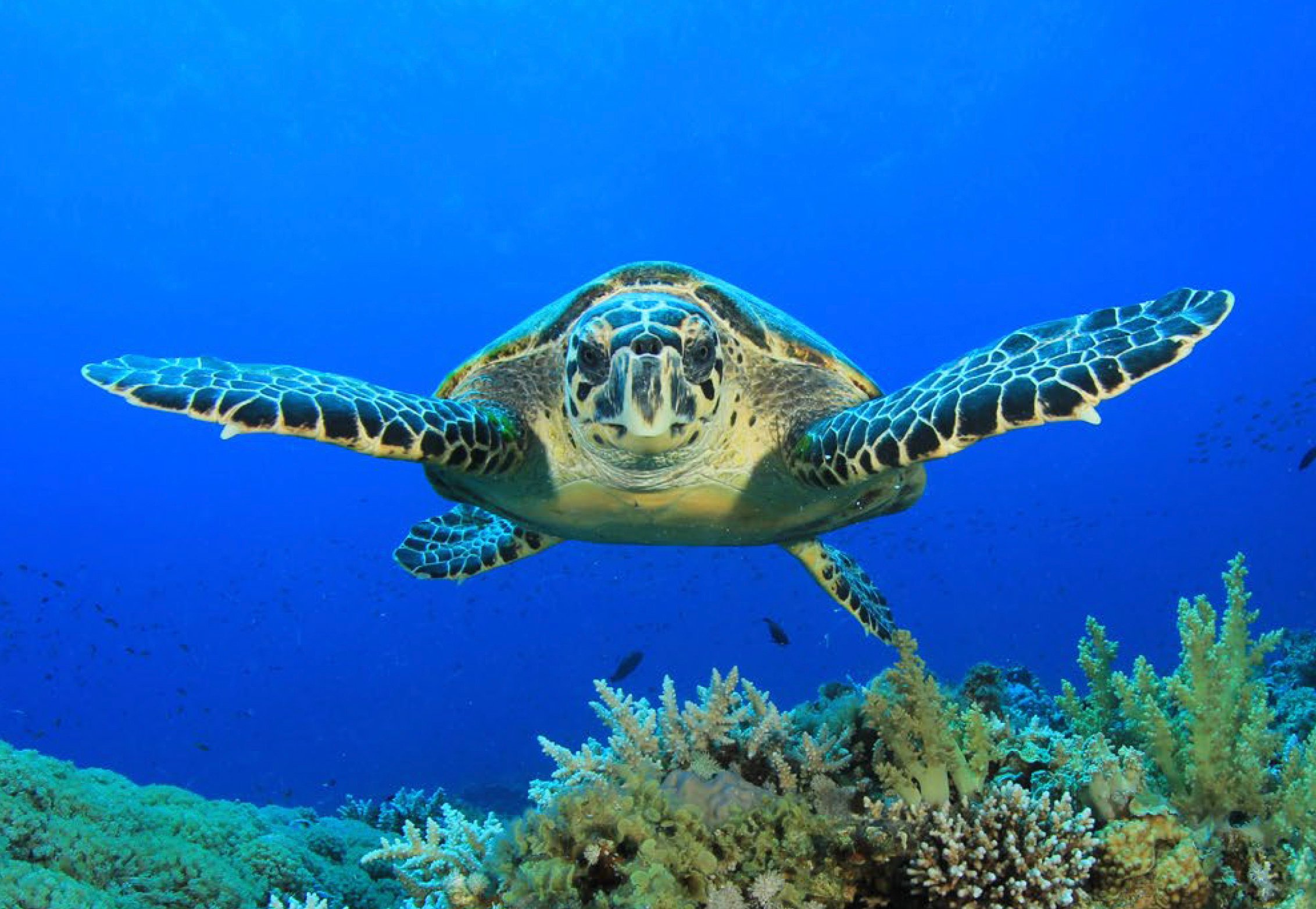 Marine Protected Areas Visitor Guidelines