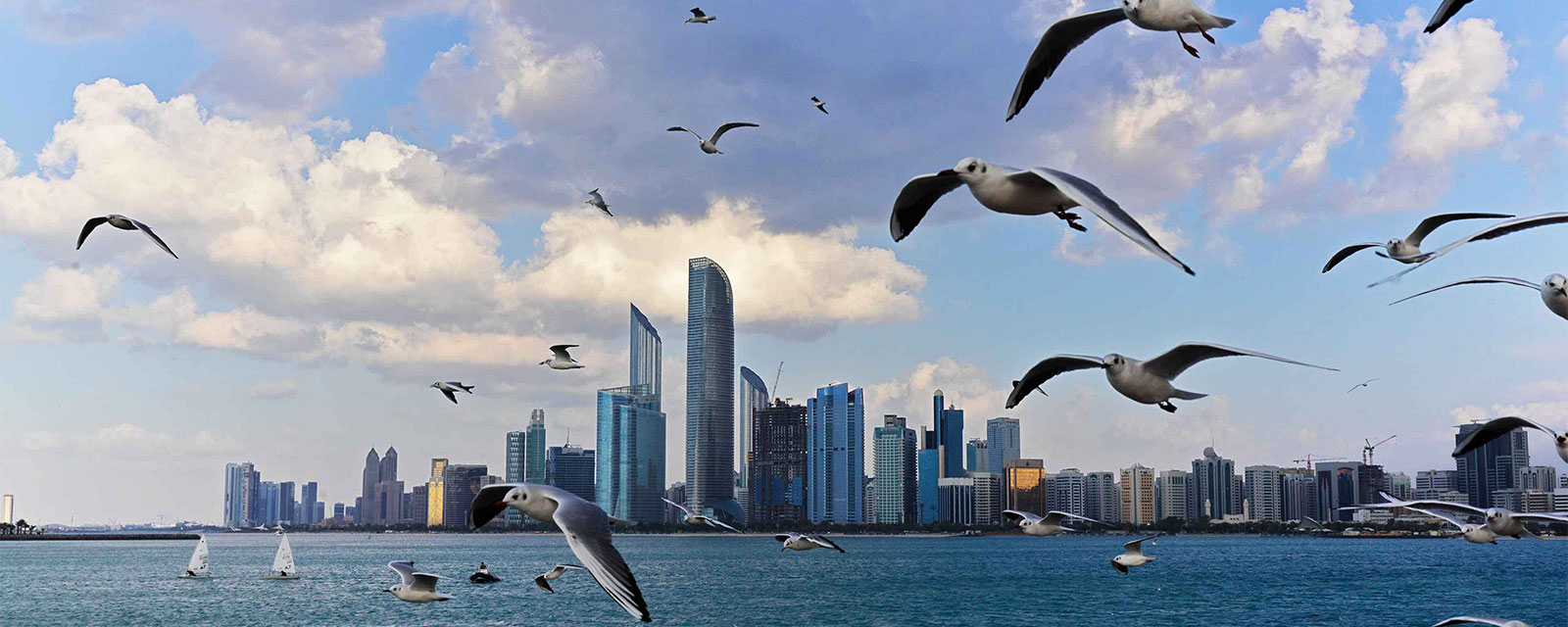  Sur la Corniche d'Abu Dhabi, les oiseaux dansent au-dessus des gratte-ciel, offrant un spectacle apaisant au coucher du soleil.