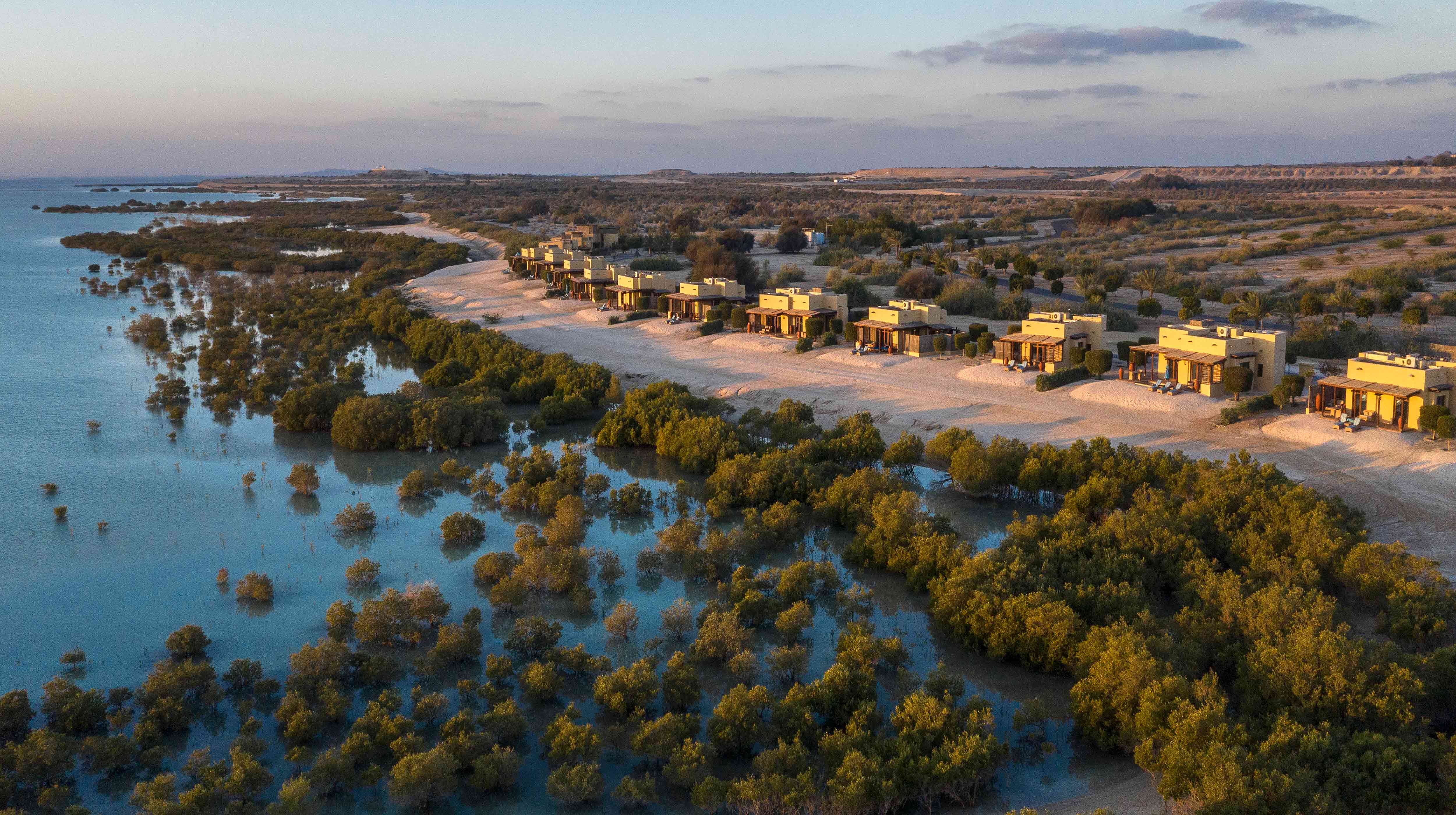 9. Isla Sir Bani Yas 