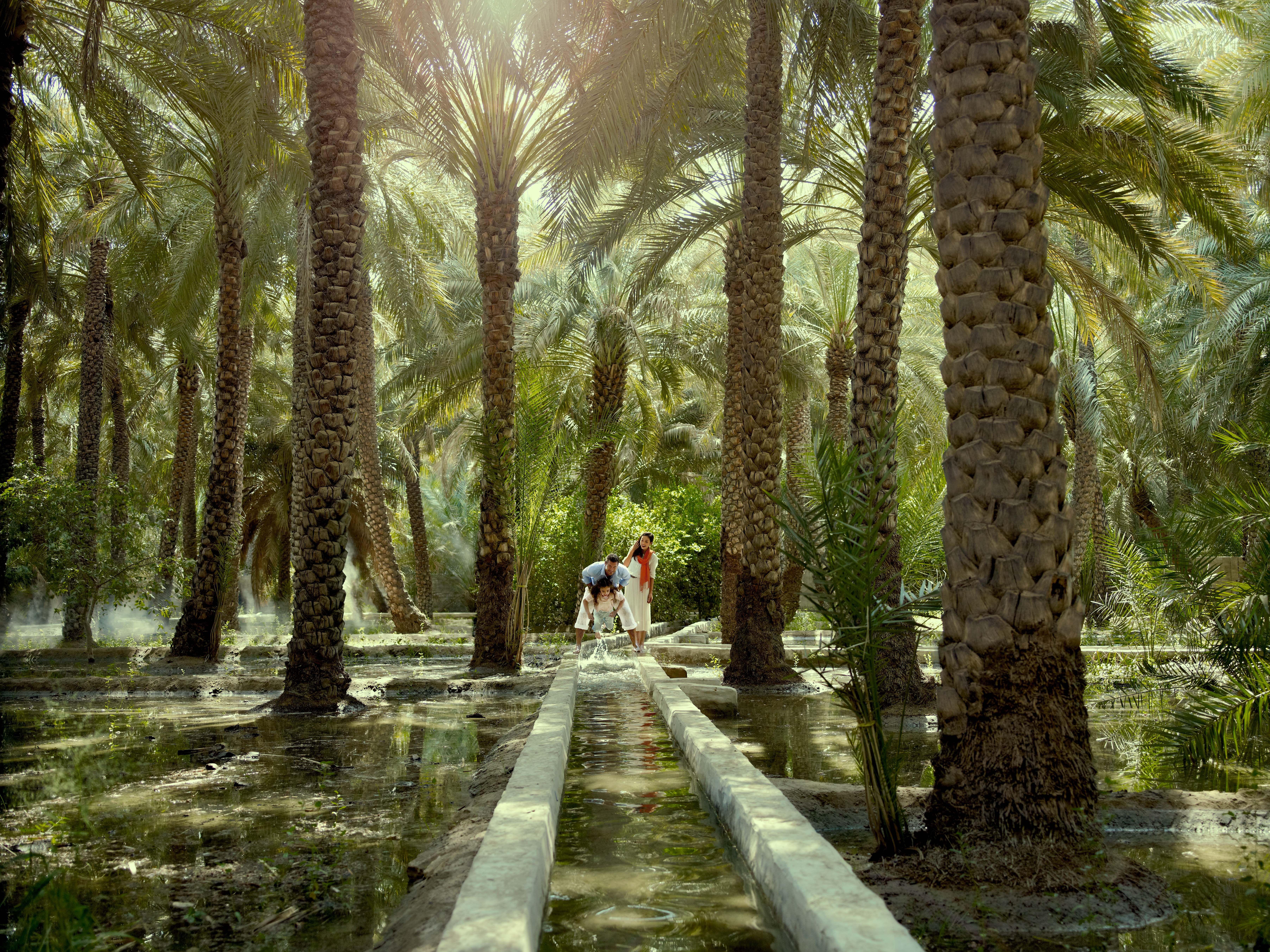 1. Antico sistema di irrigazione dell'oasi di Al Ain