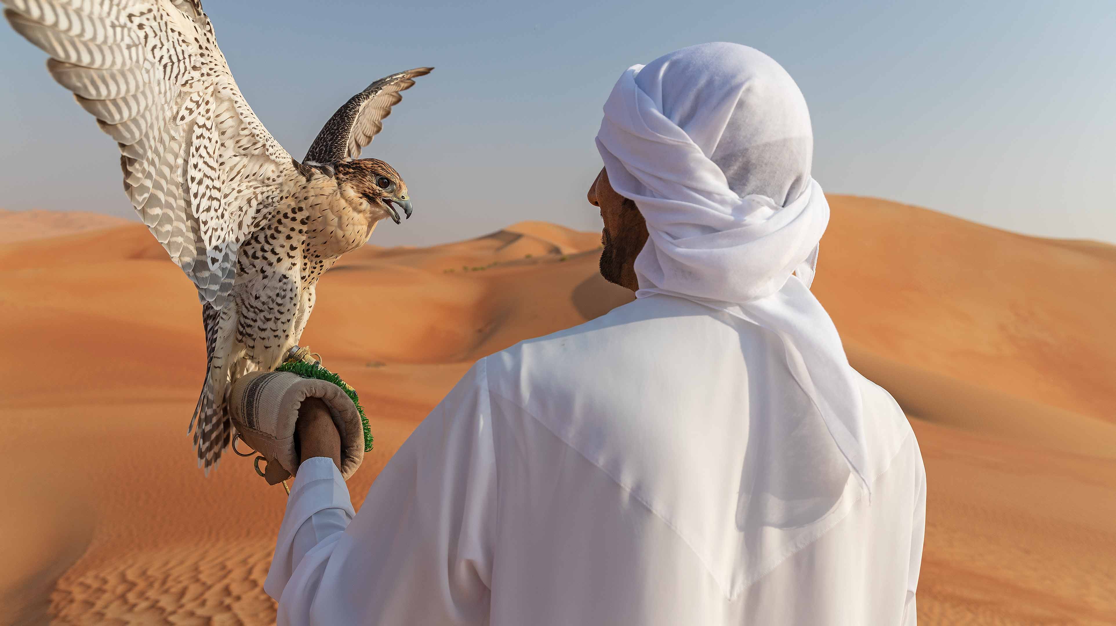 Emirati man with his falcon amidst the golden sand dunes of the Abu Dhabi desert