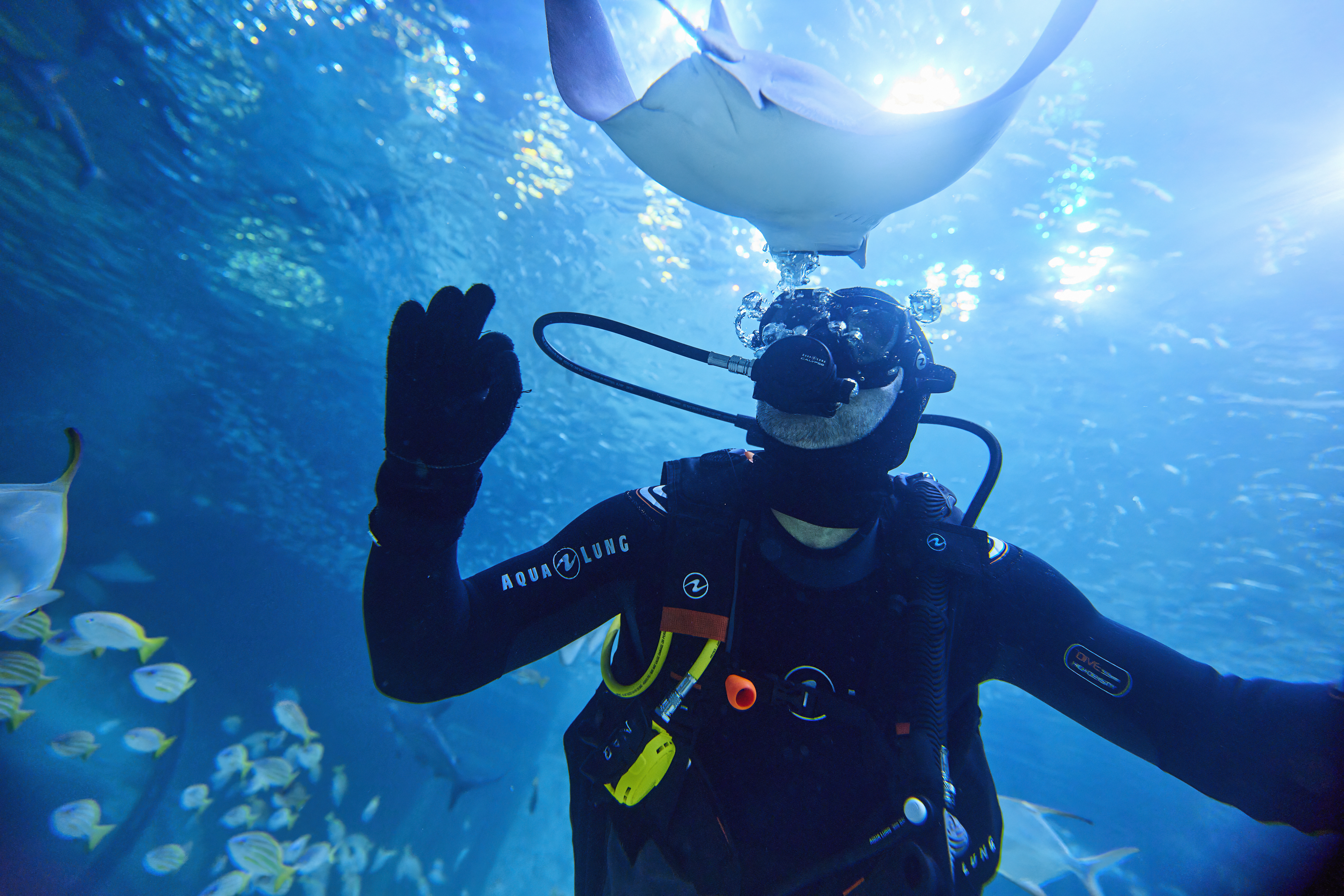 5. The National Aquarium