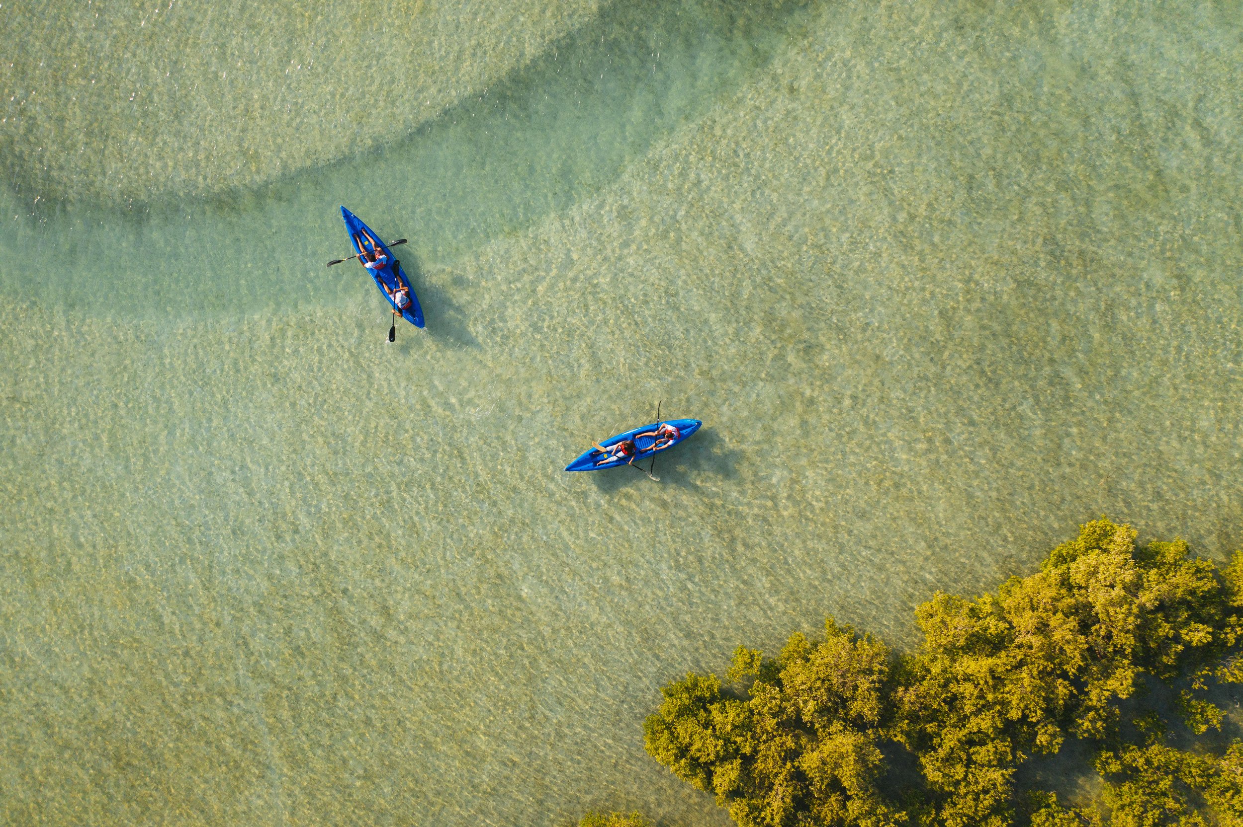 4. Giro in kayak in una zona vietata alla pesca lungo la costa di una riserva protetta su un'isola