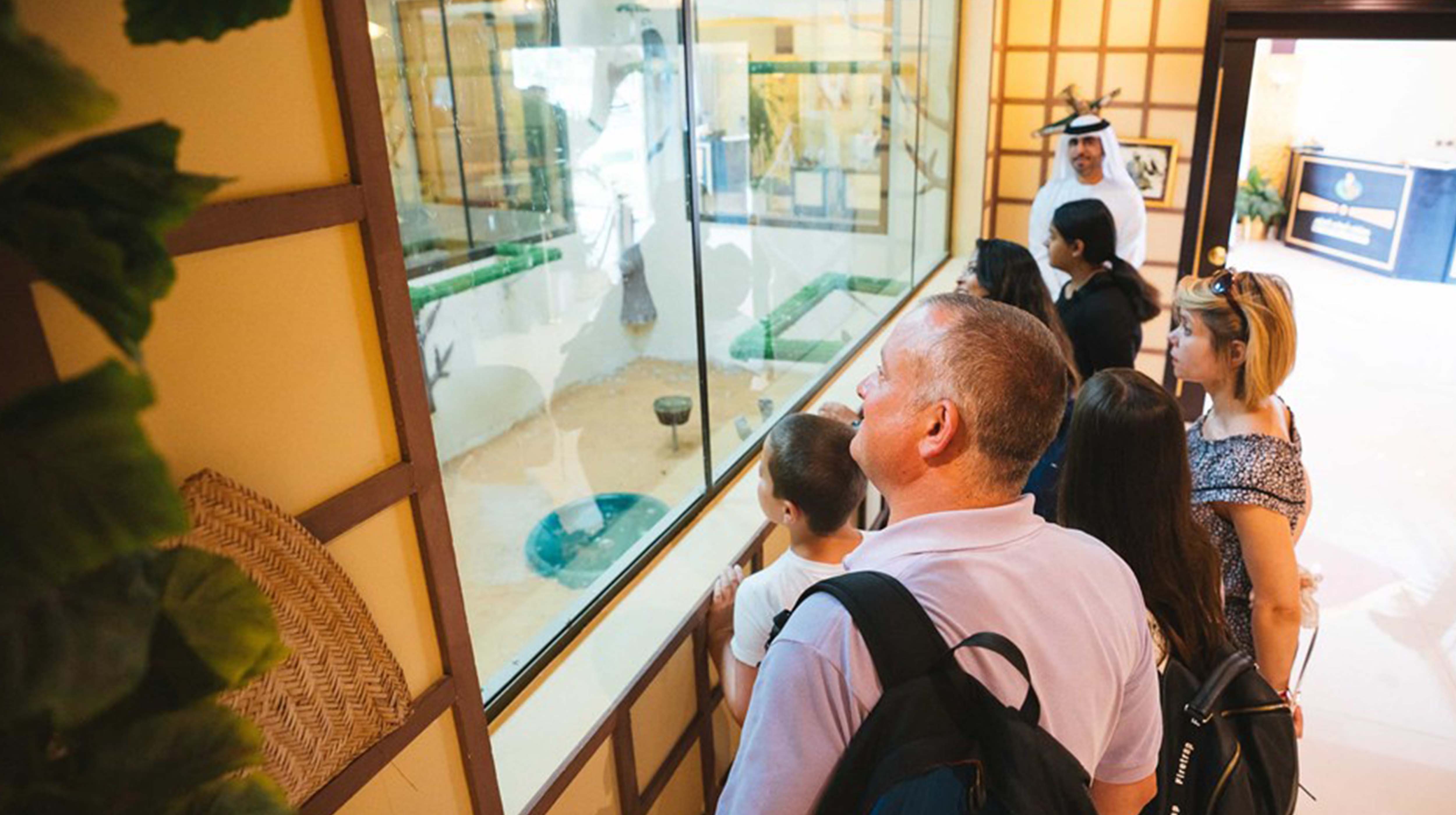 Visitatori davanti a una teca del museo dedicato alle esperienze di falconeria tradizionale