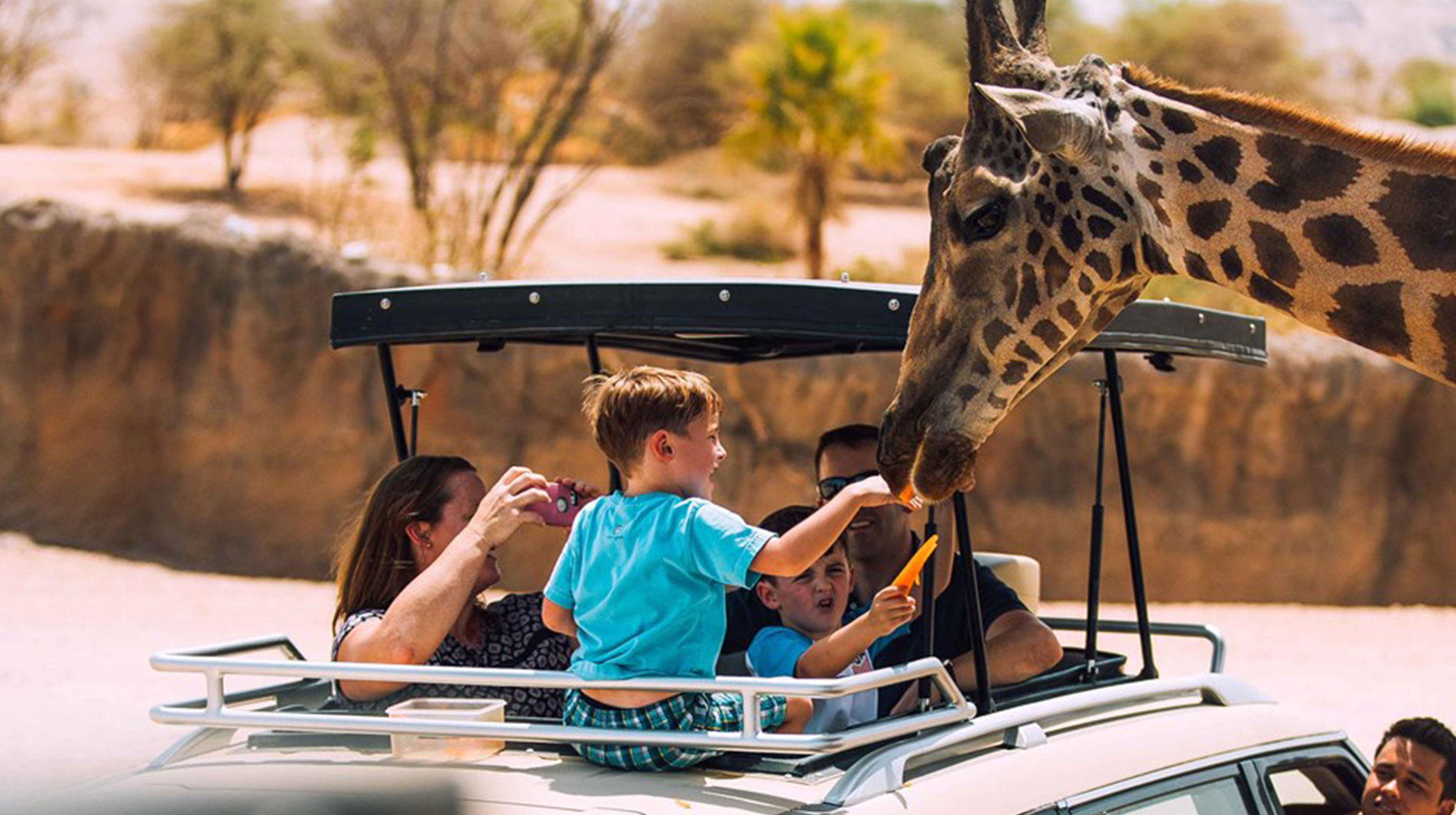 3. Al Ain Safari