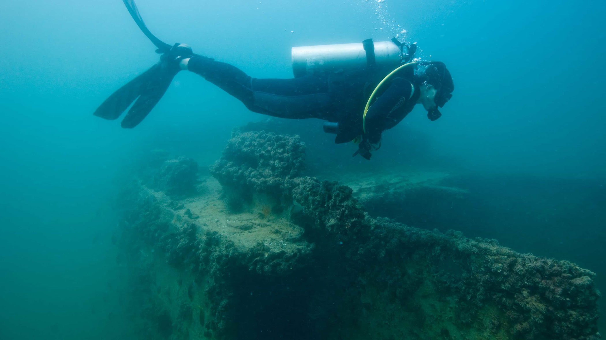 Snorkelling and Diving