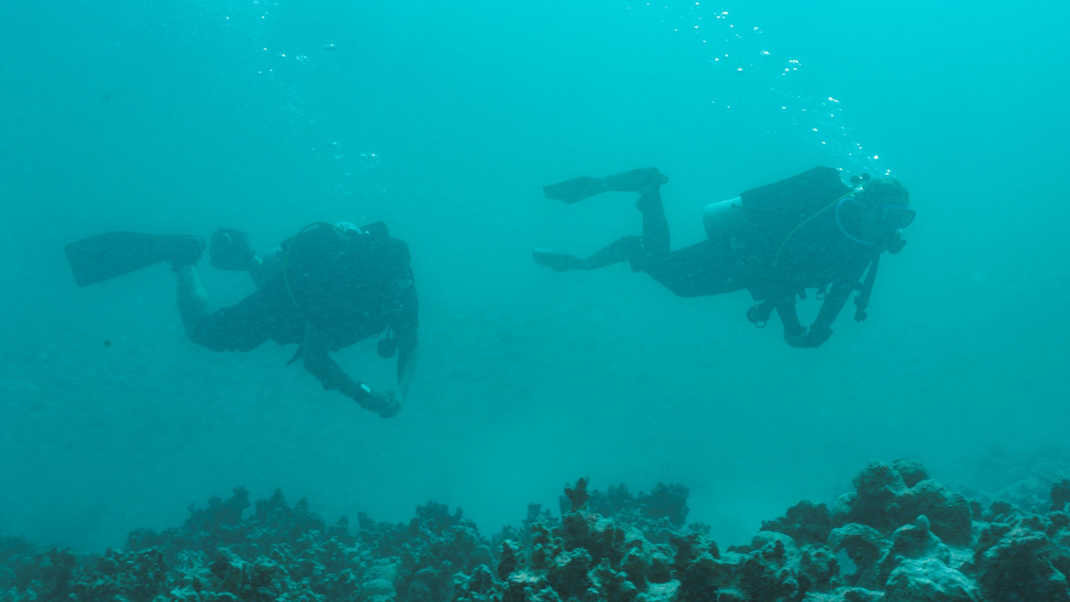 Plongée sous-marine