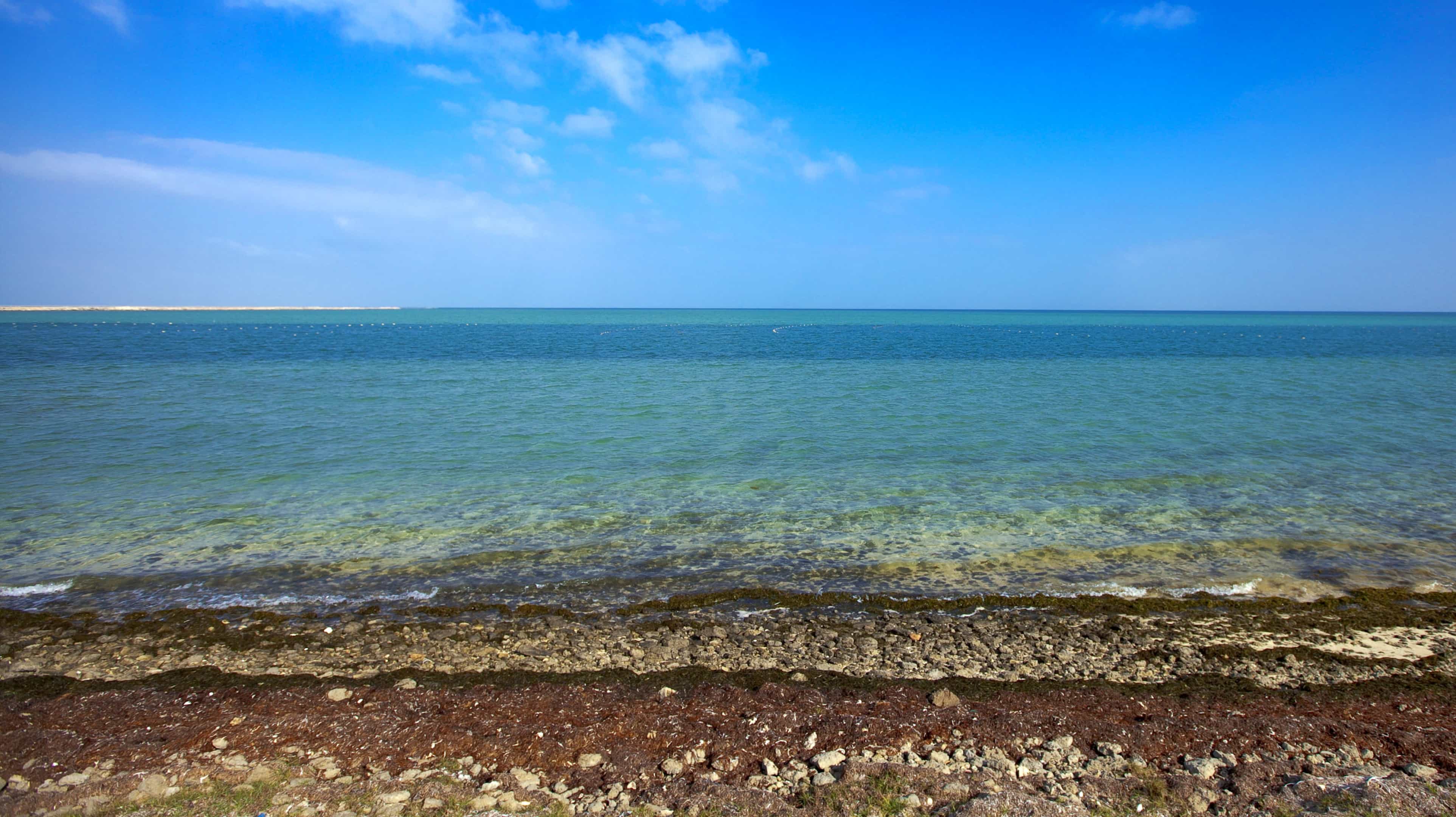 صورة لبحر وشاطئ صخري