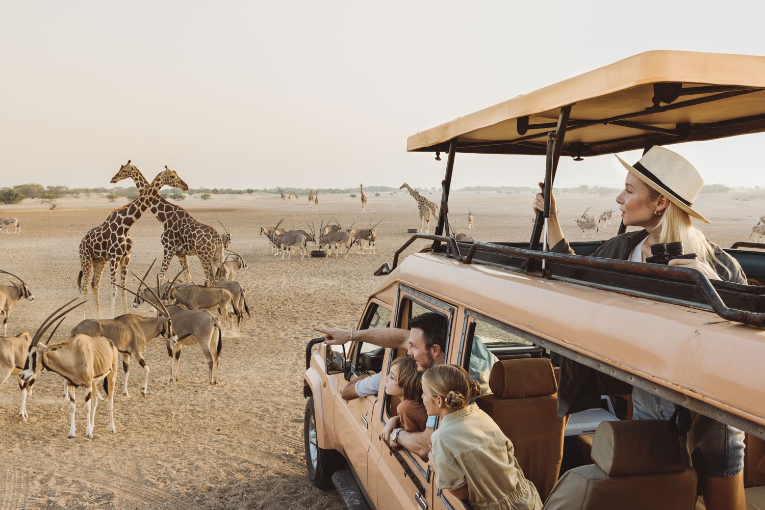 11 wildlife experiences