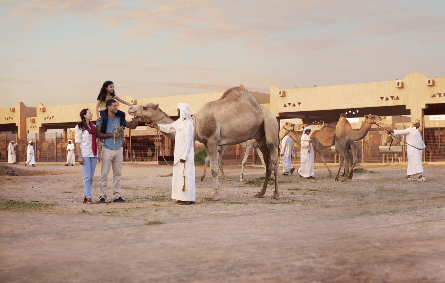 Visit the Camel Market 