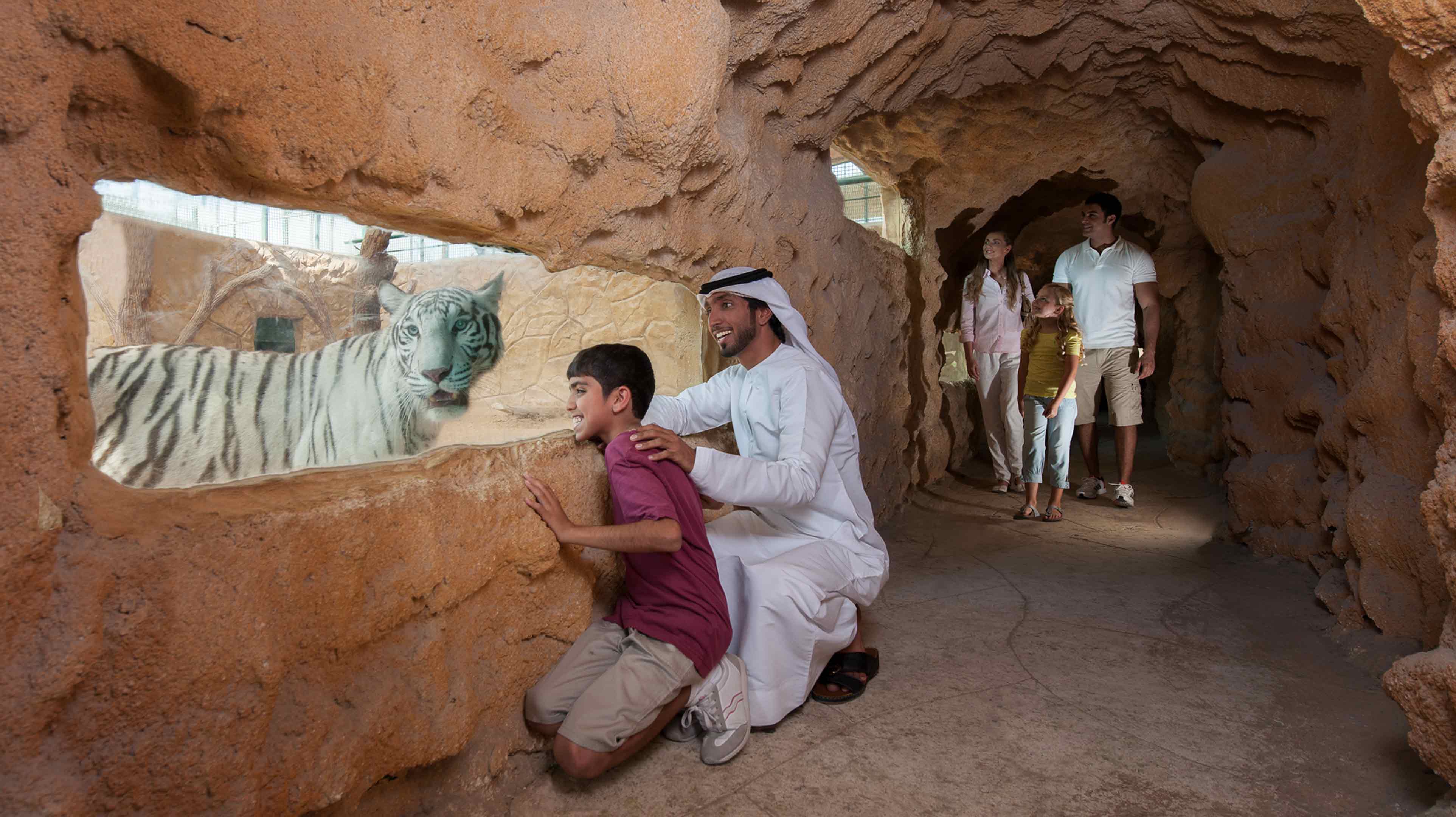 Абу даби животное. Al Ain Zoo Абу-Даби. Сафари парк Дубай. Emirates Park Zoo в Абу-Даби. Аль Айн зоопарк.