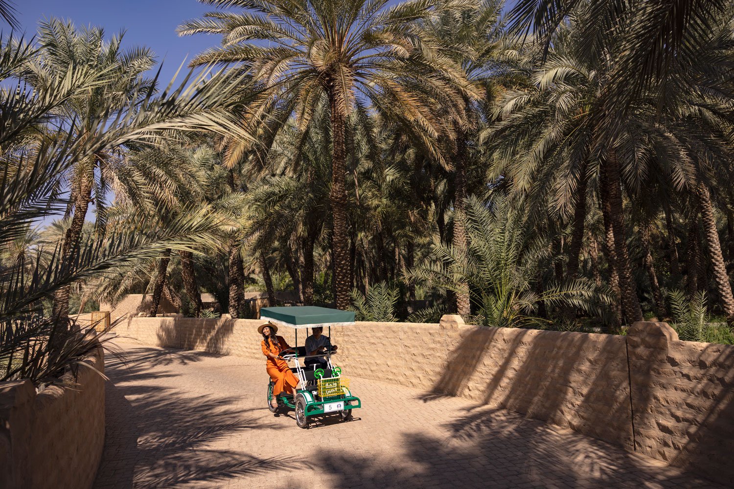 Cycle through an oasis nourished by the mountains in Al Ain