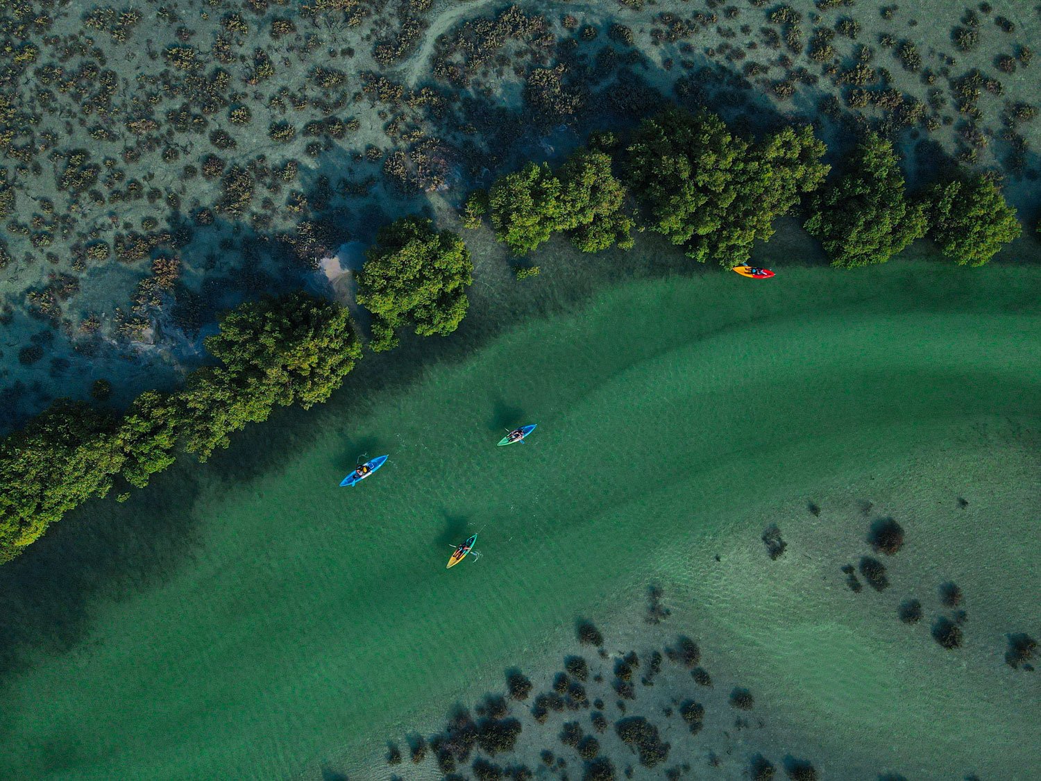 Kayak through an ecological marvel at Jubail Mangrove Park