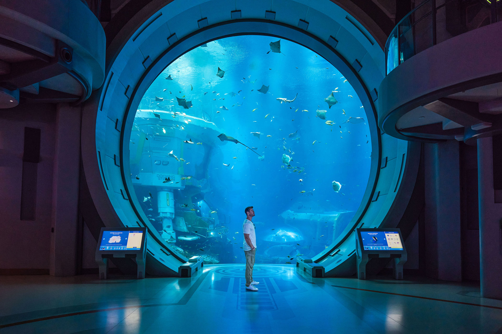 SeaWorld Yas Island, Abu Dhabi