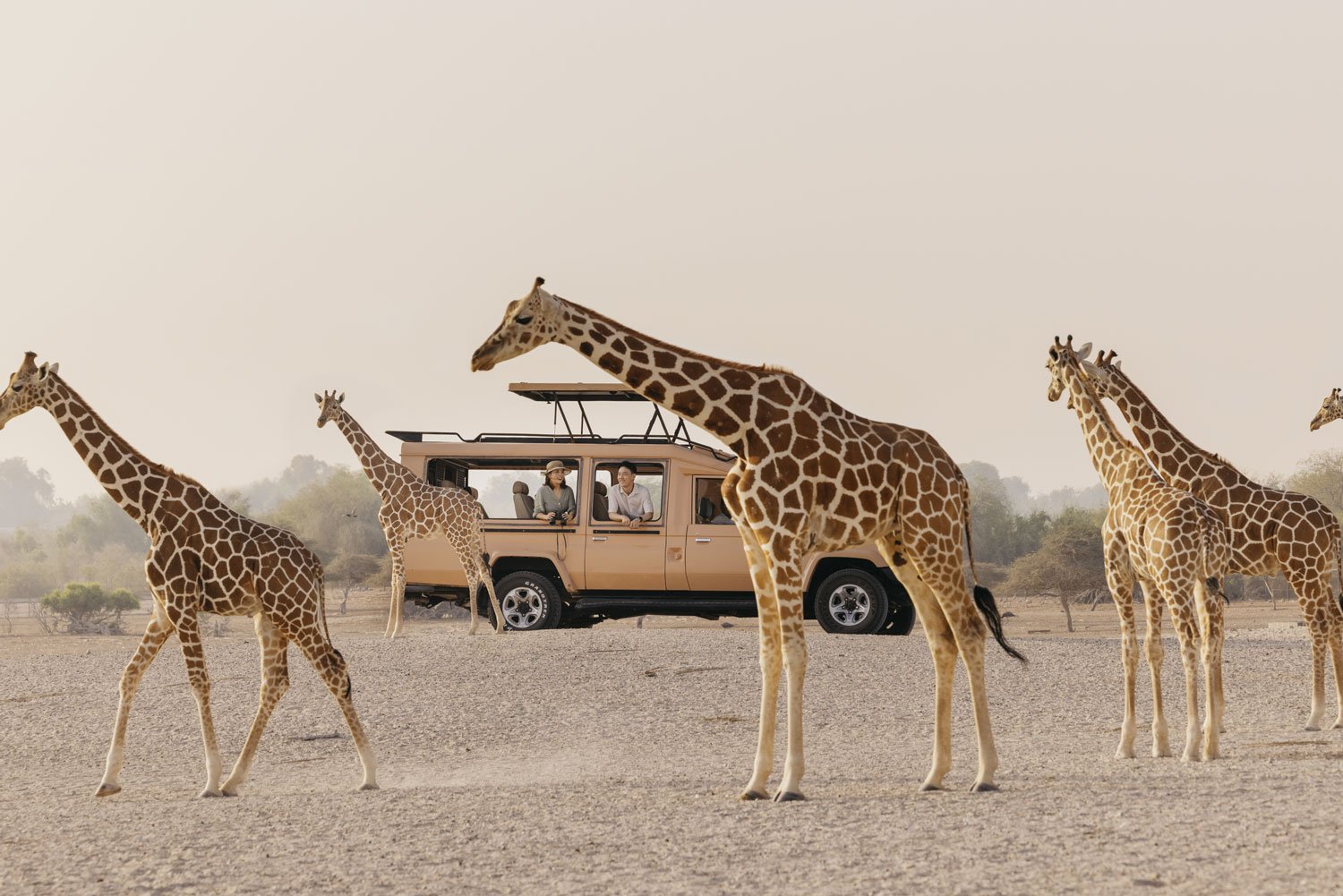 Tour of Sir Bani Yas Island