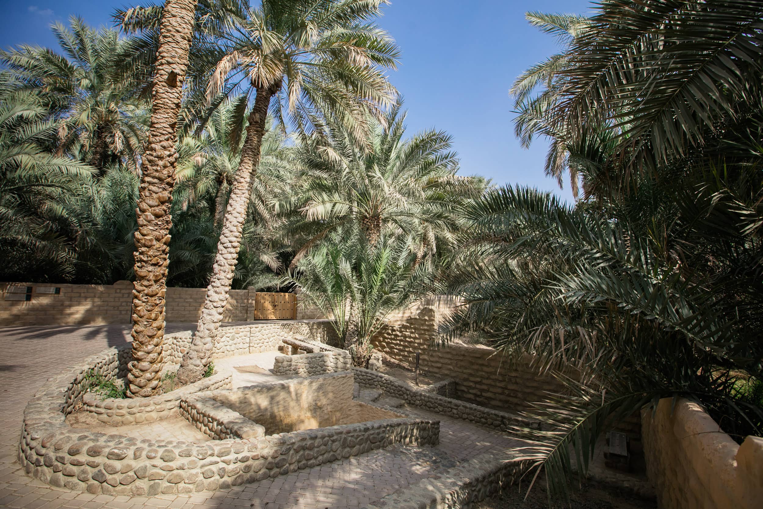 image alt text