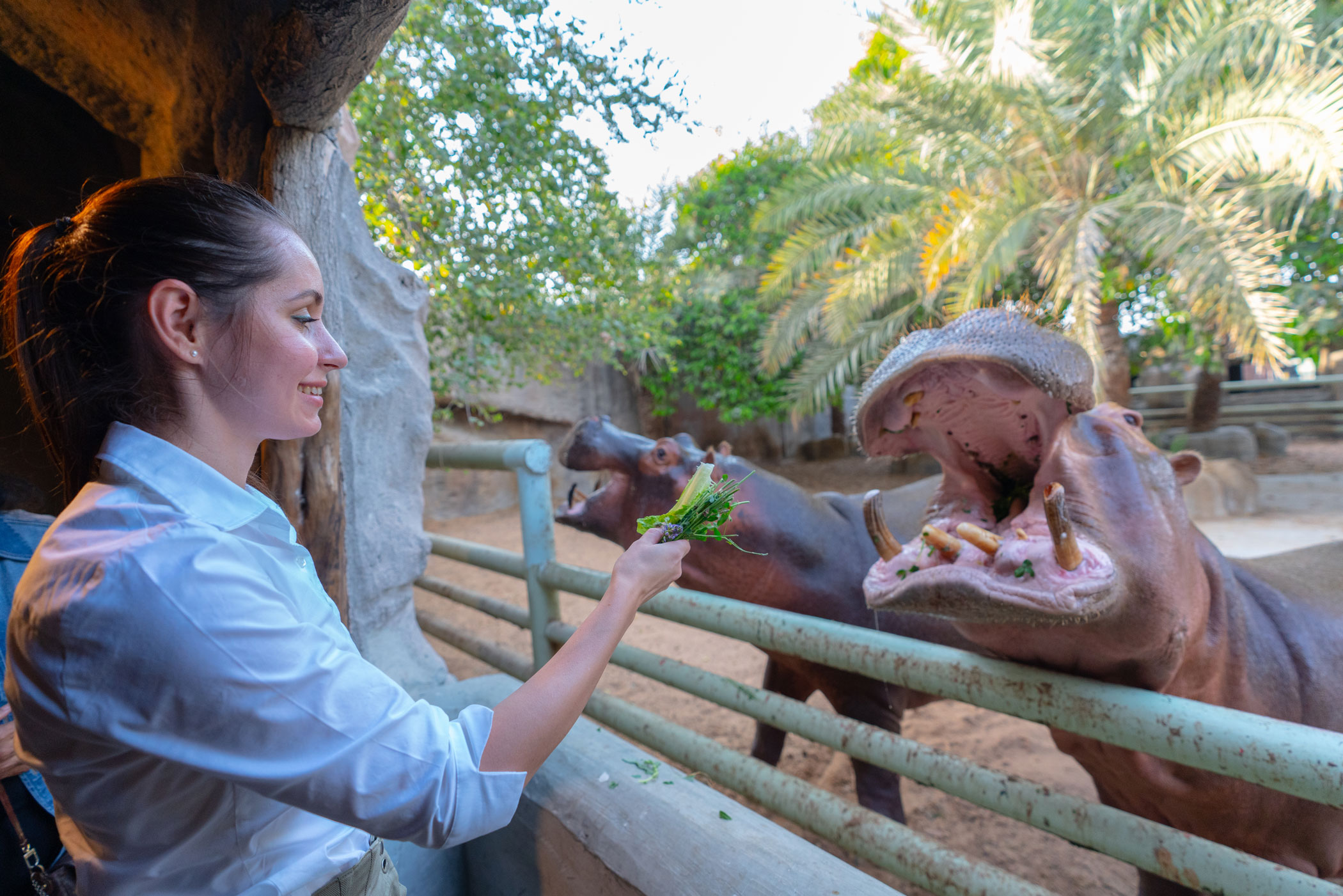 4. Nourrir les animaux à l’Emirates Park Zoo