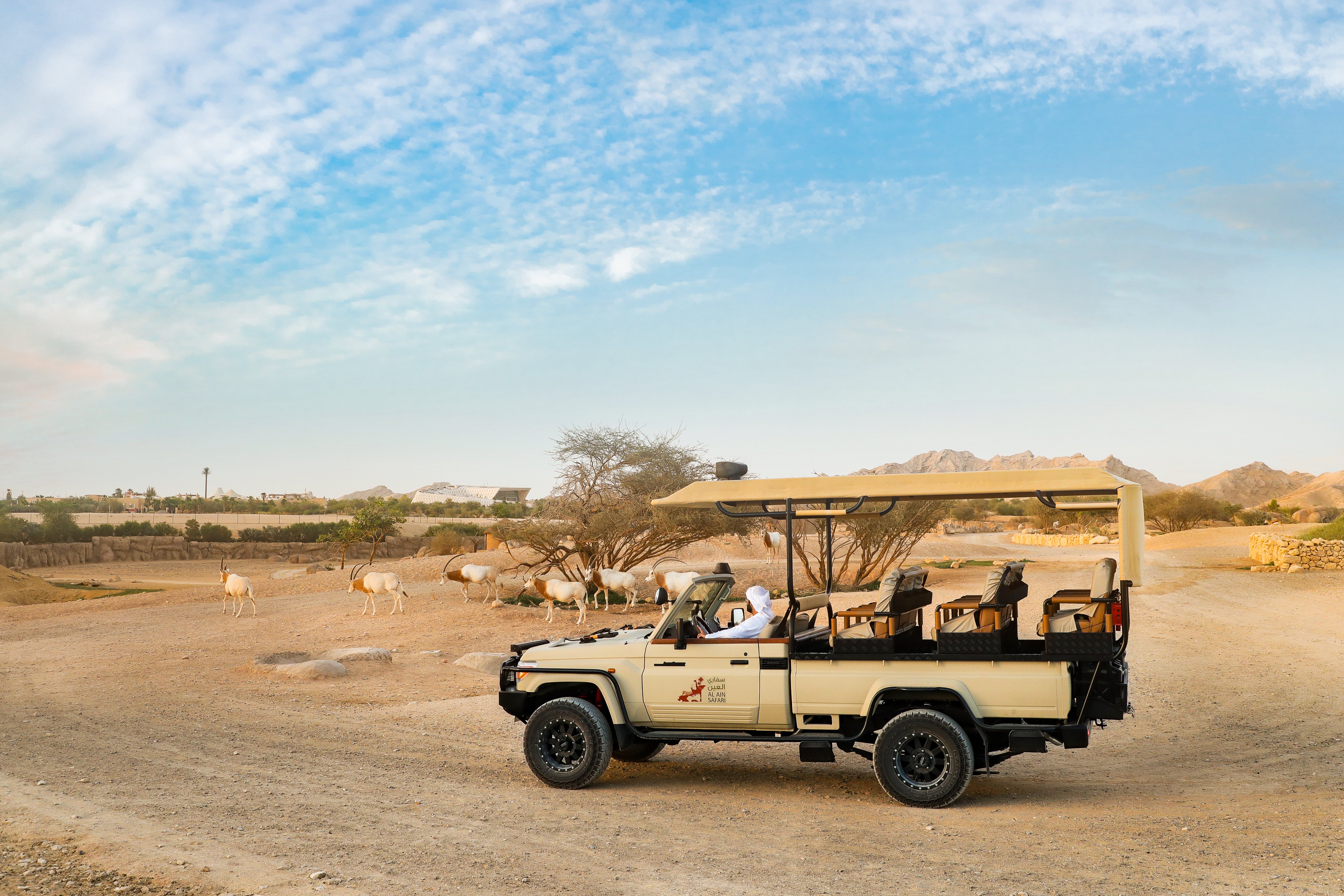 Adventures in Al Ain