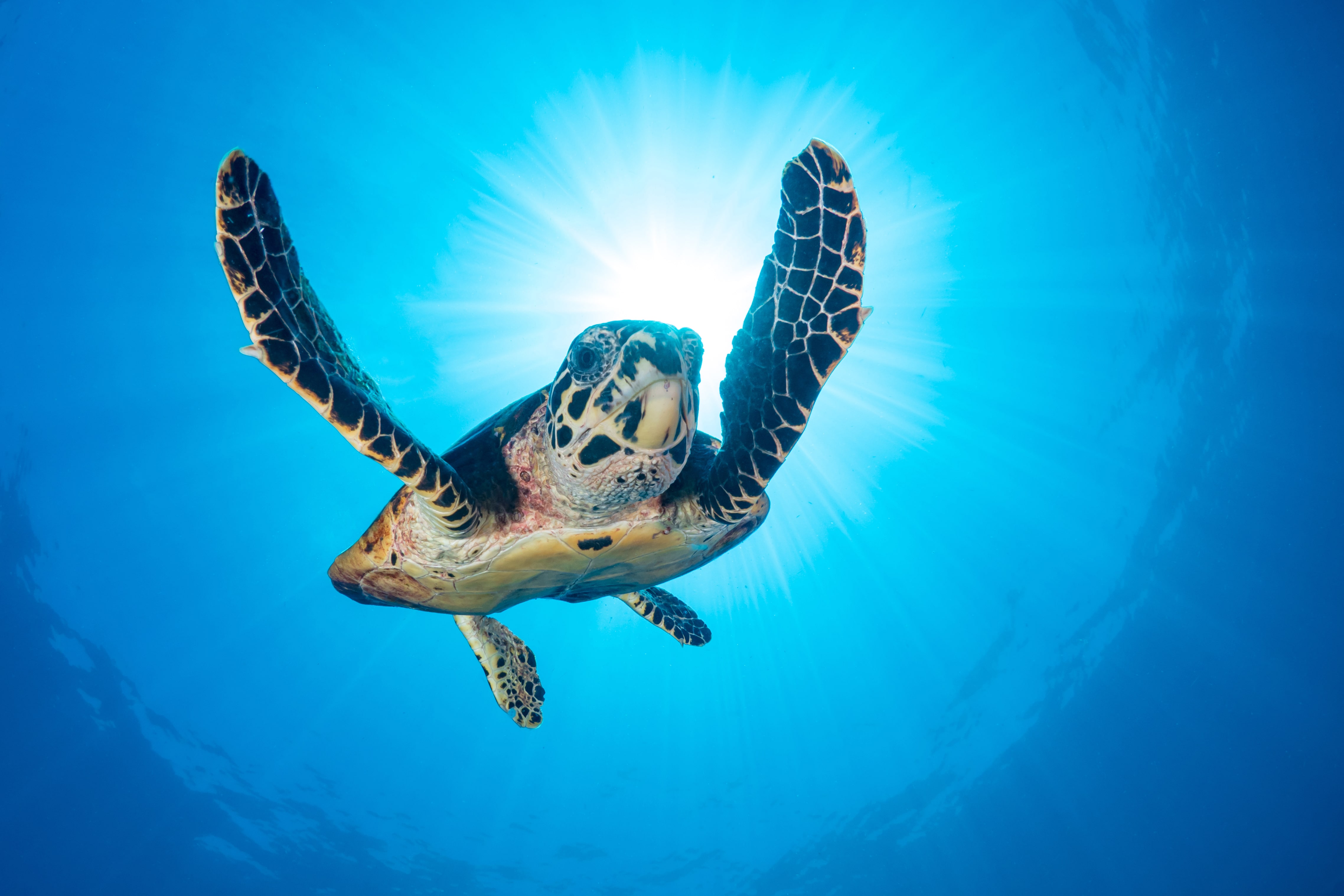6. Explore a marine national park 