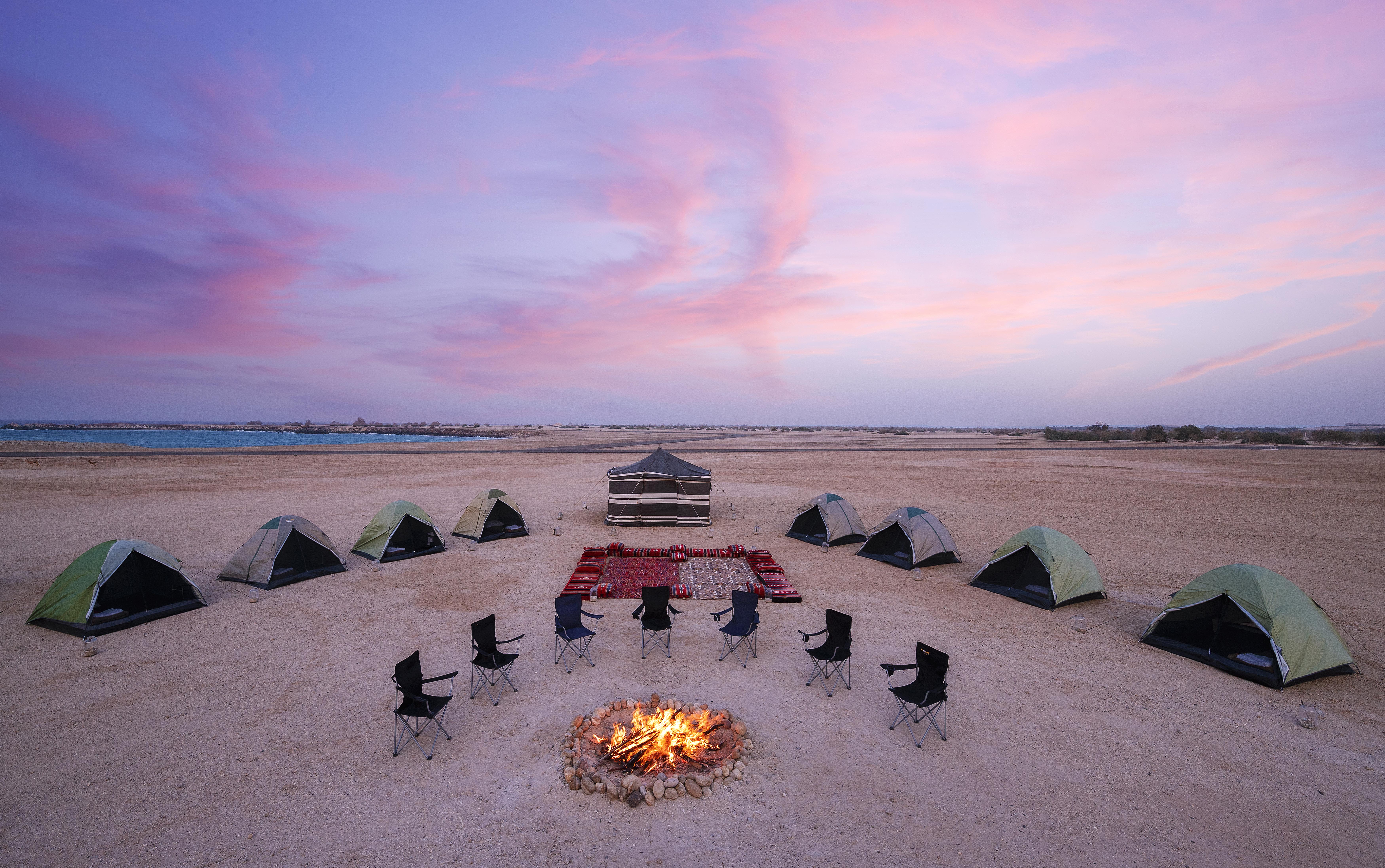 Explore Sir Bani Yas Island