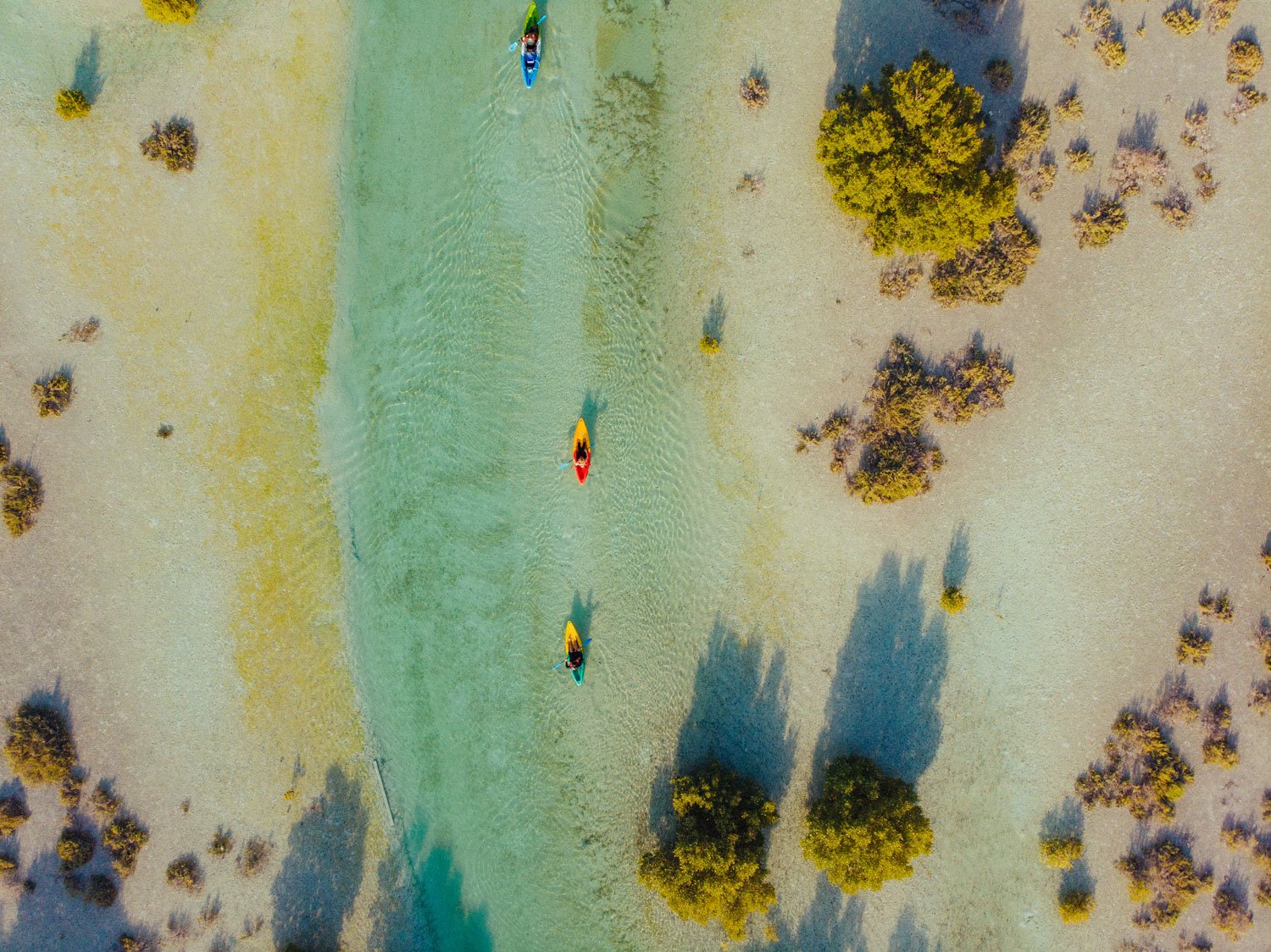 Find calm in the Mangrove forest